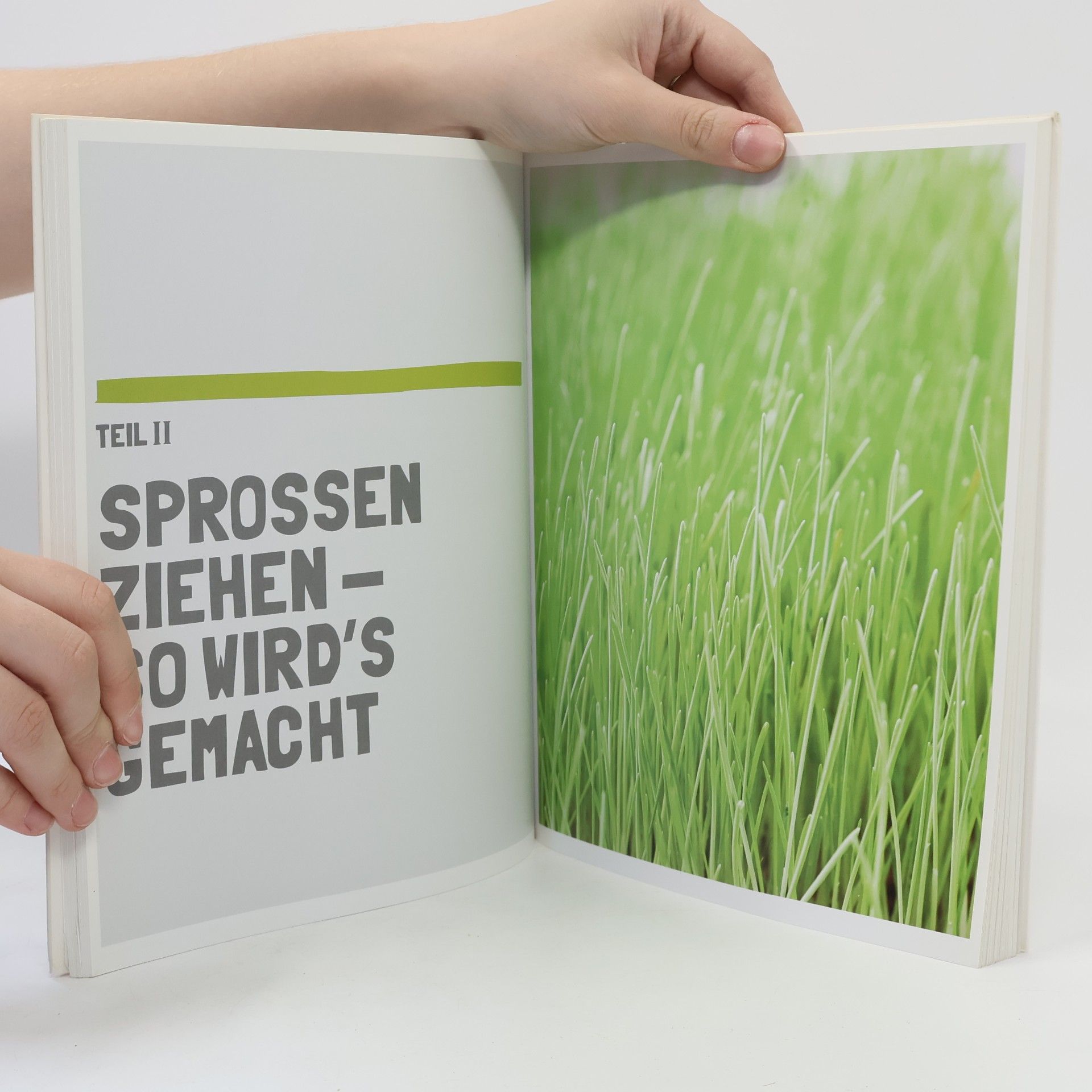 Rita Galchus Sprossen at Home