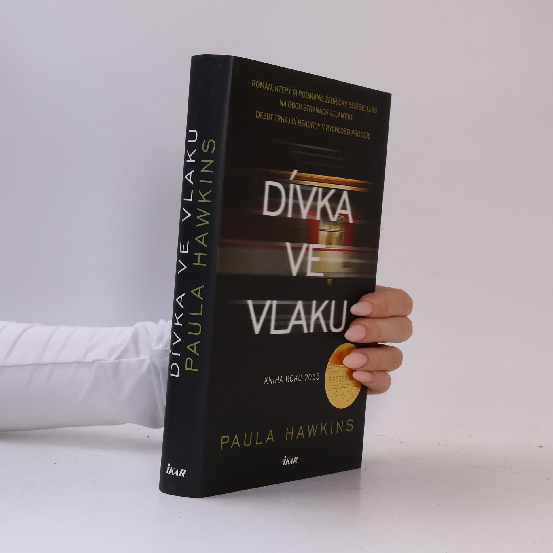 Dívka ve vlaku