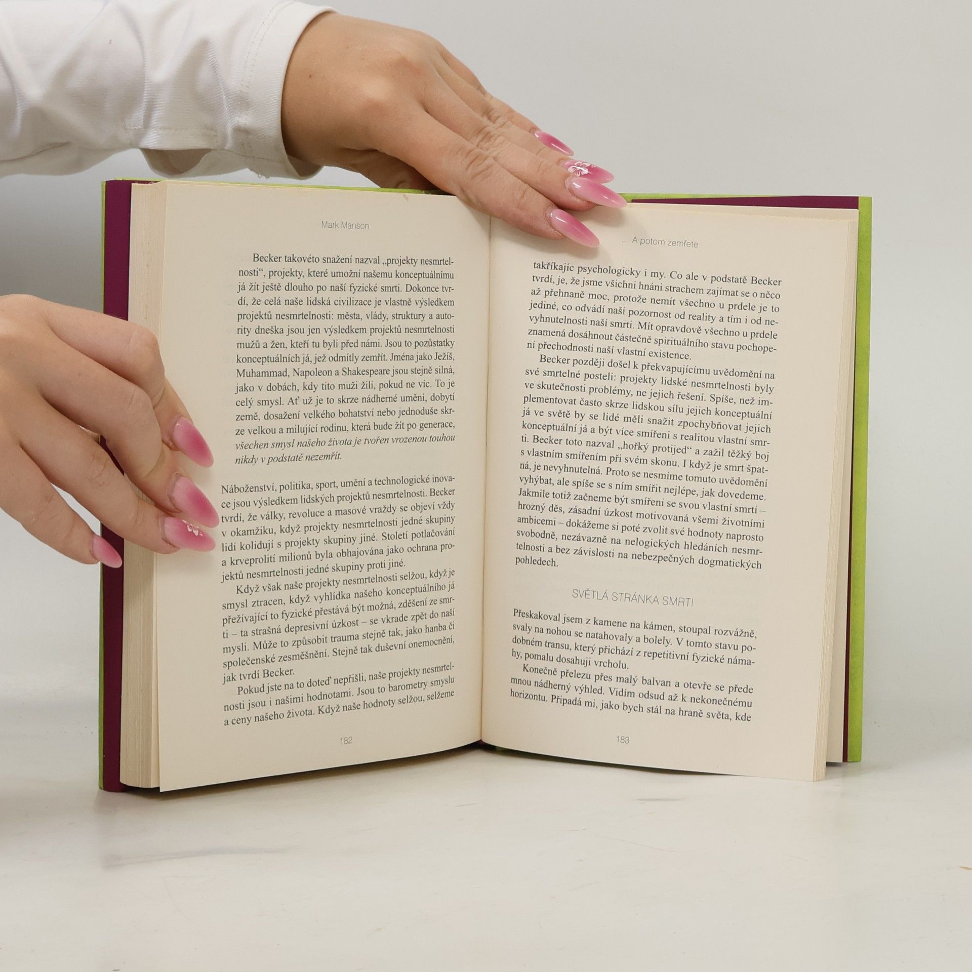 Mark Manson Důmyslné umění, jak mít všechno u pr**le