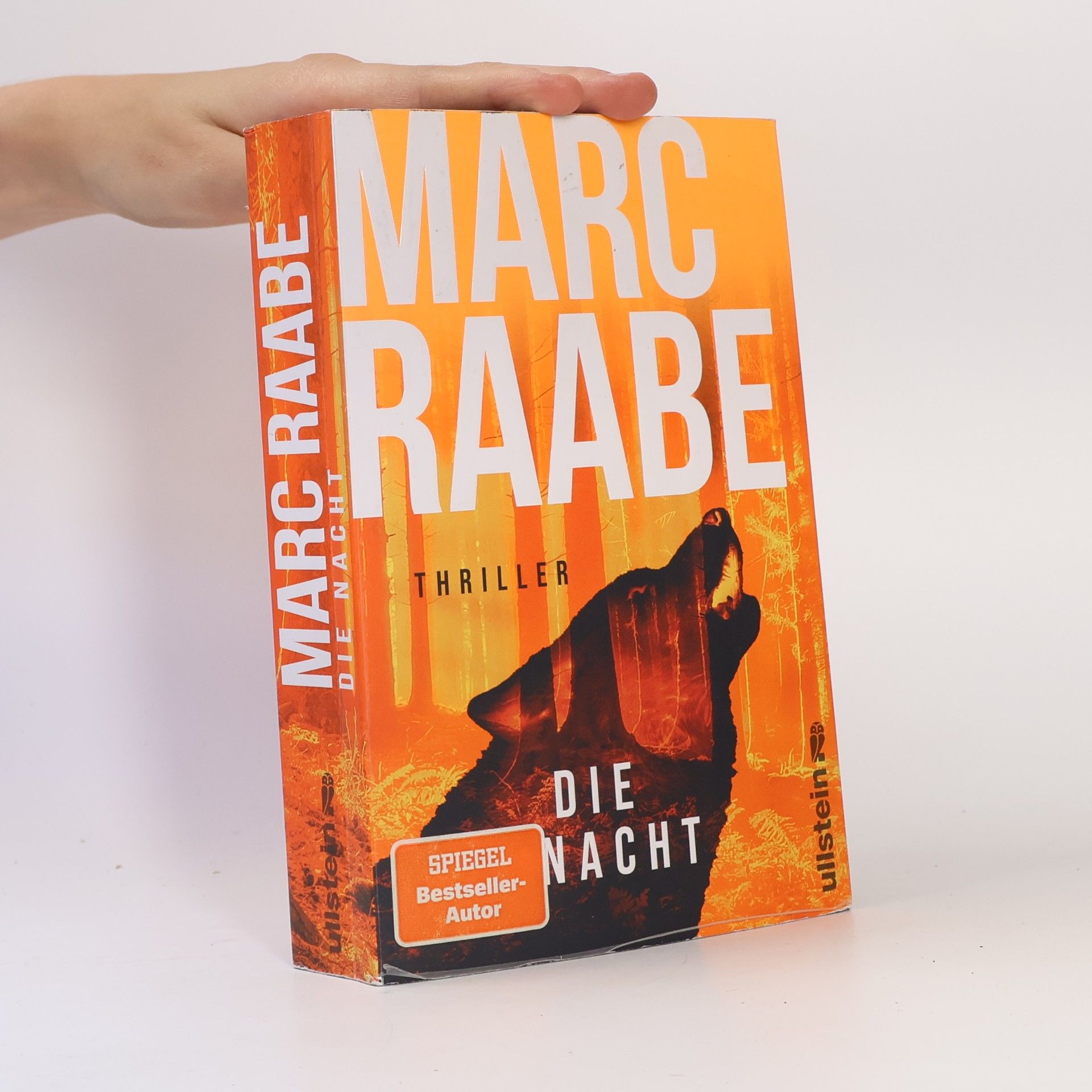 Marc Raabe Die Nacht