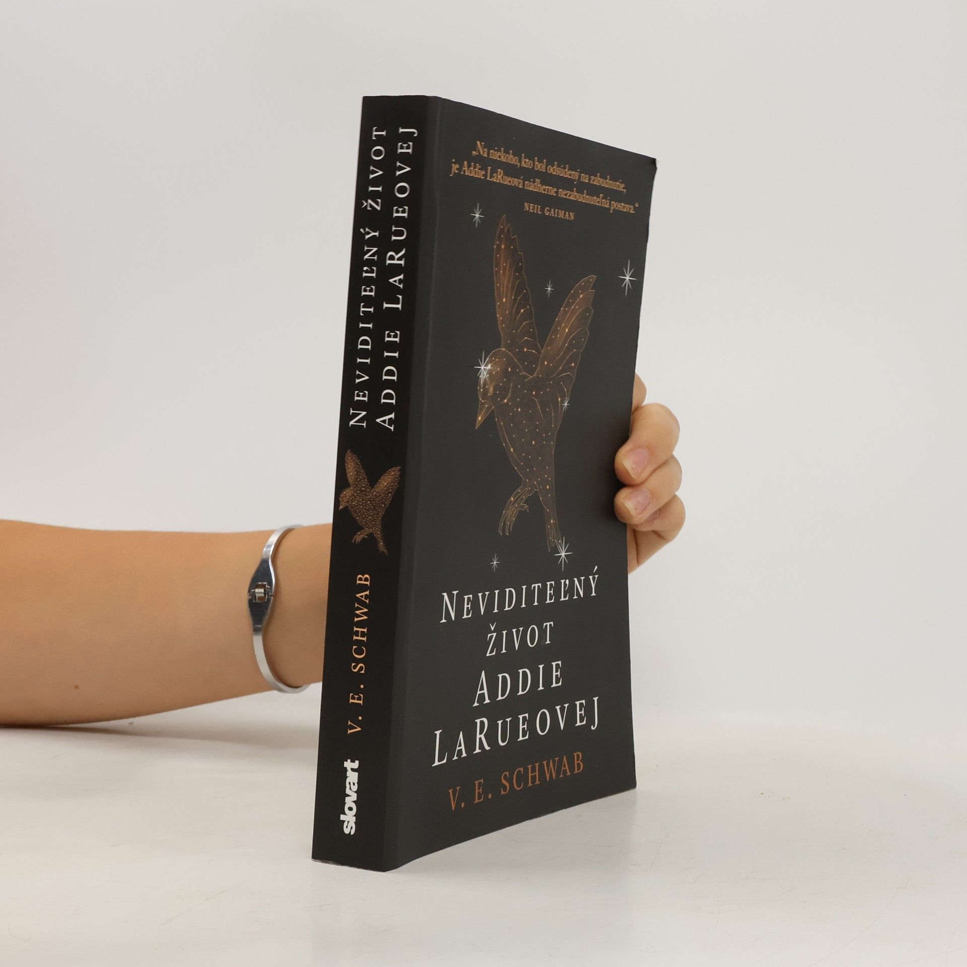 V. E. Schwab Neviditeľný život Addie LaRueovej