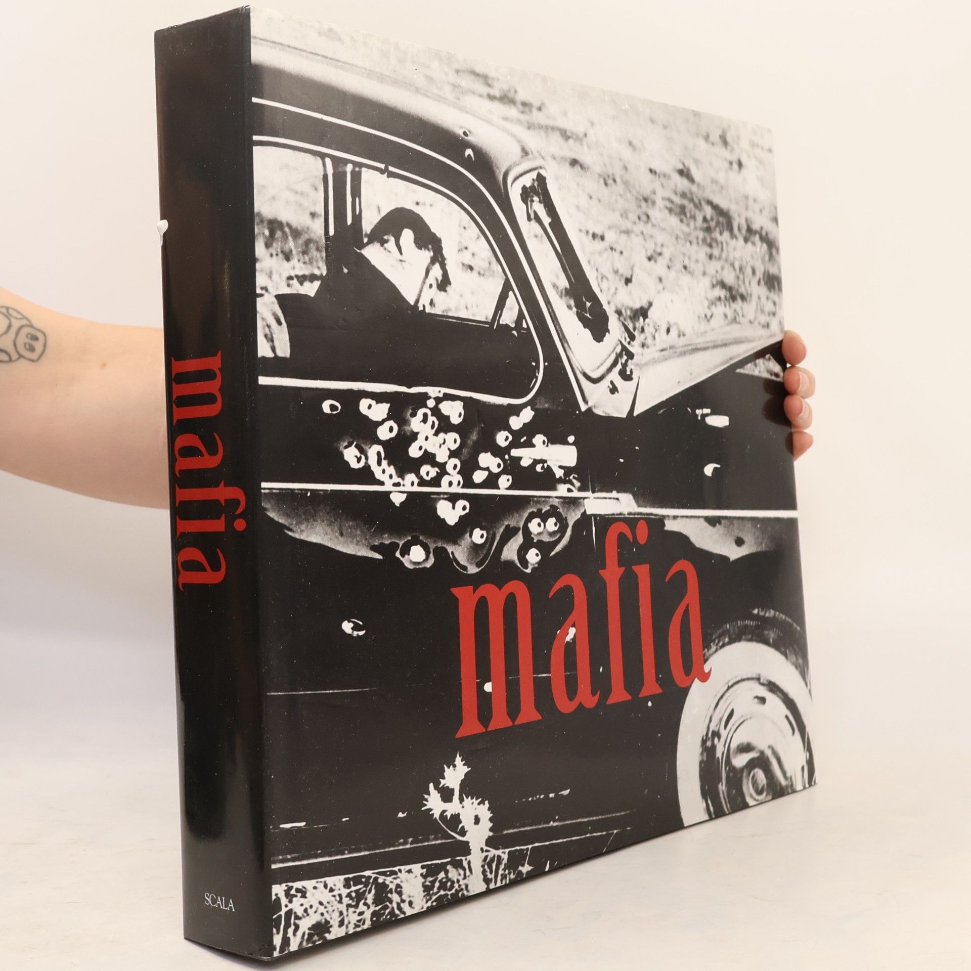 Marco Gasparini Mafia