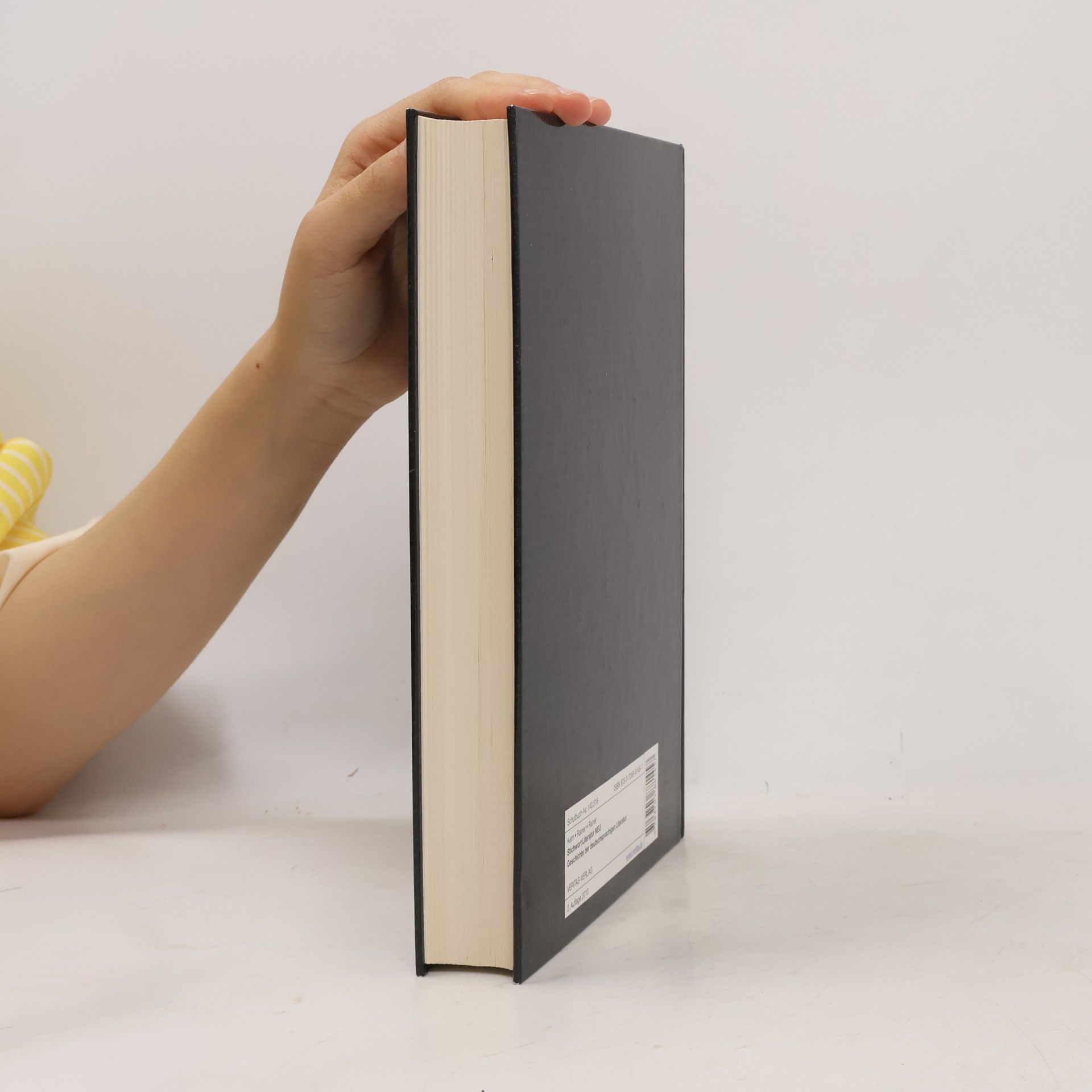 Gerald Rainer Stichwort Literatur: Geschichte der deutschsprachigen Literatur