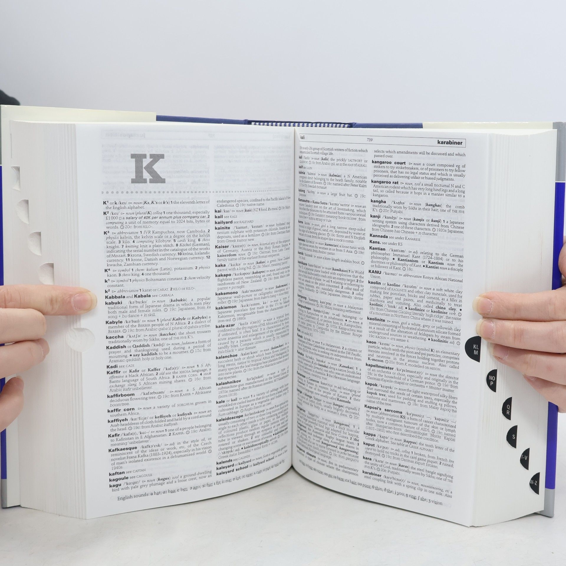 Mairi Robinson Chambers 21st century dictionary