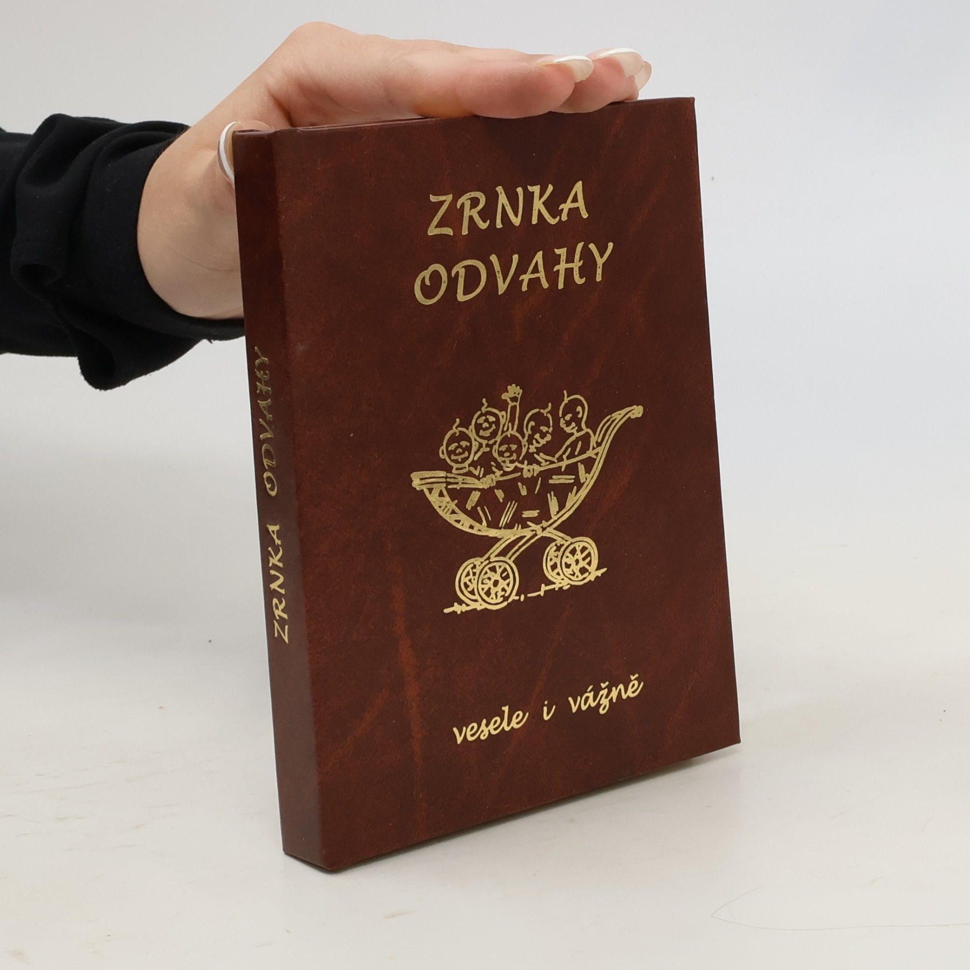 Kolektív autorov Zrnka odvahy