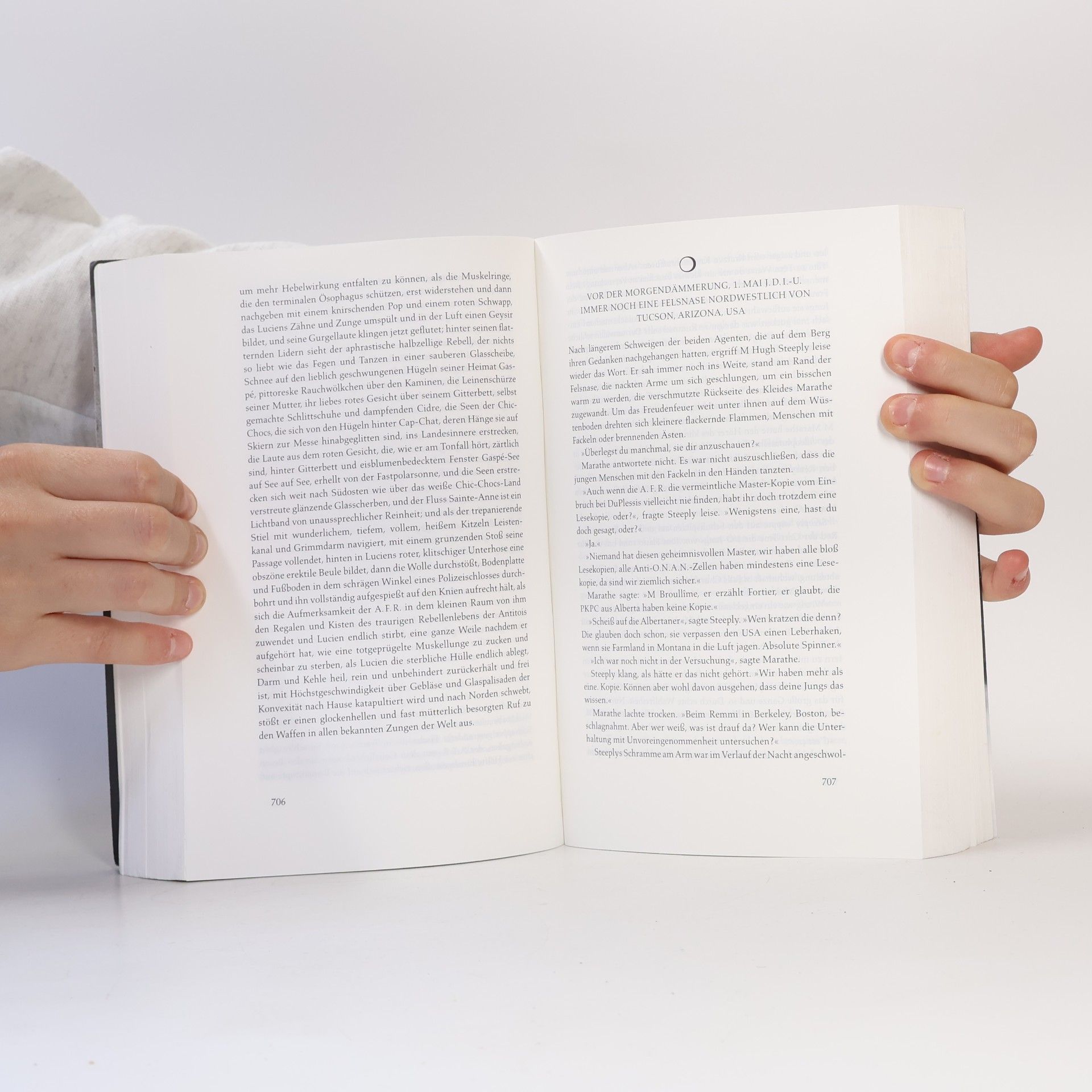 David Foster Wallace Unendlicher Spaß
