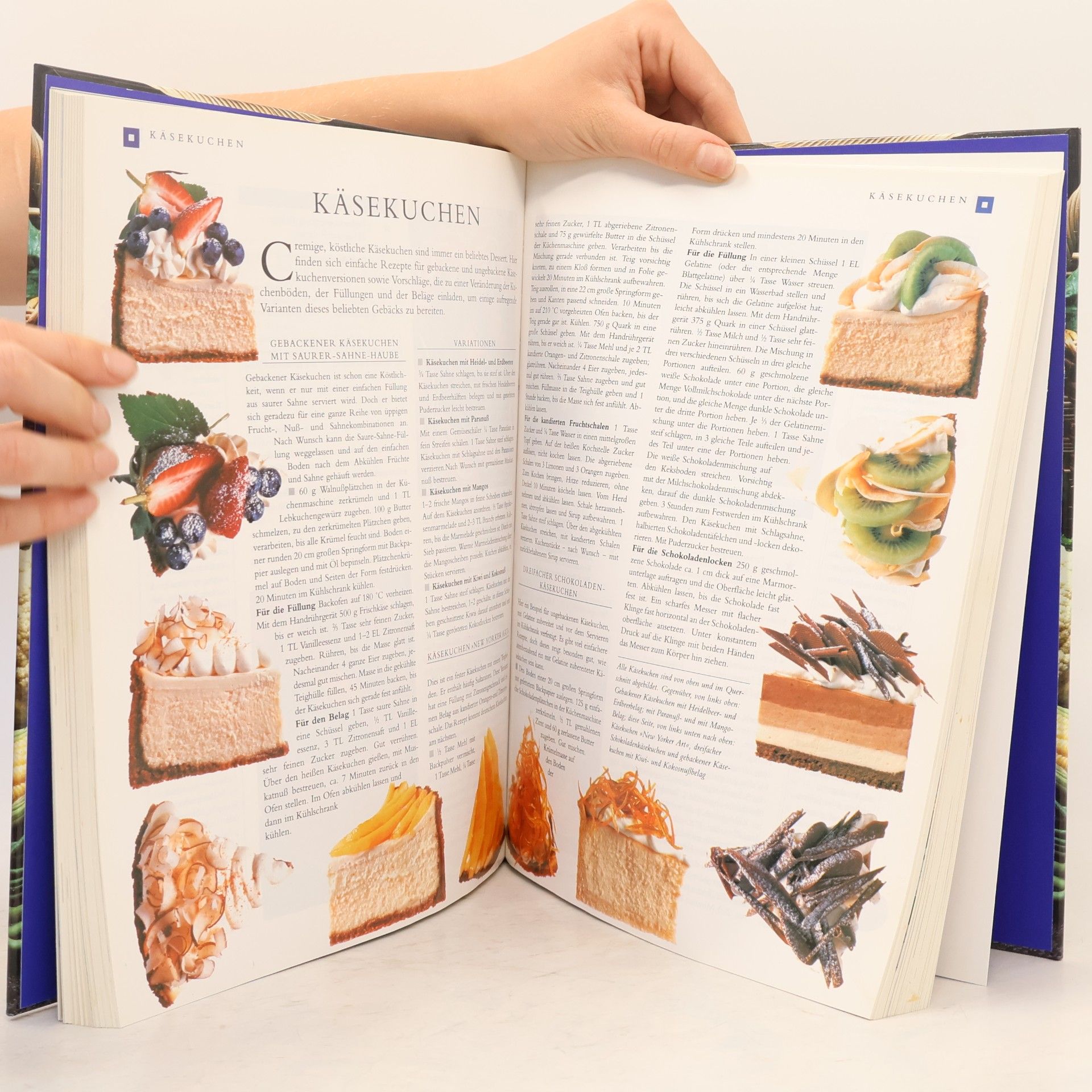Auteurscollectief Großes illustriertes Rezeptbuch für die Familie