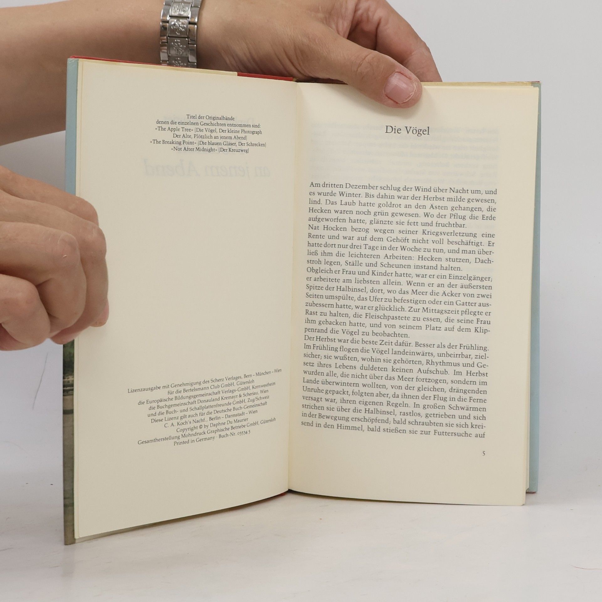 Daphne Du Maurier Plötzlich an jenem Abend