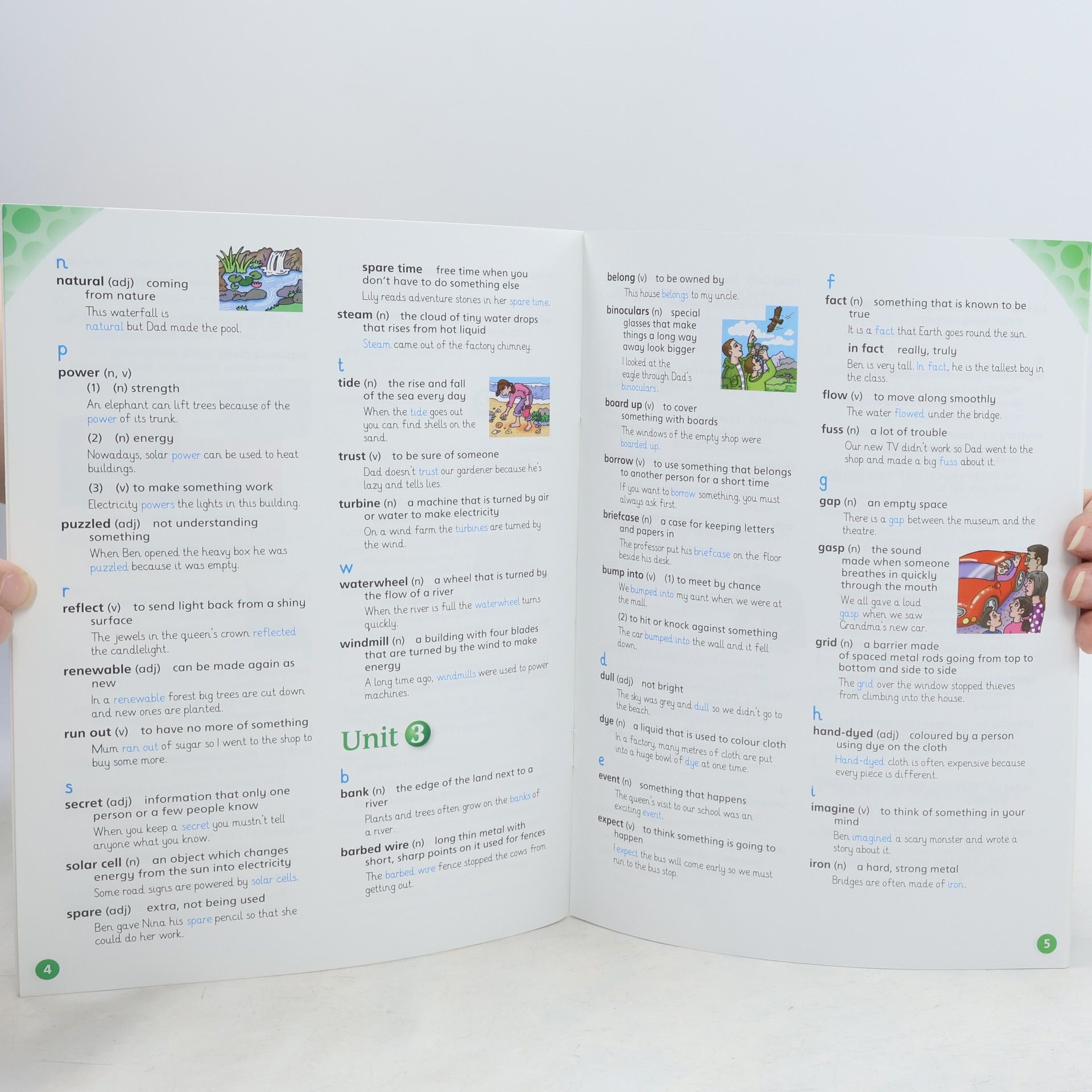 Liz Hocking English World 6 Dictionary