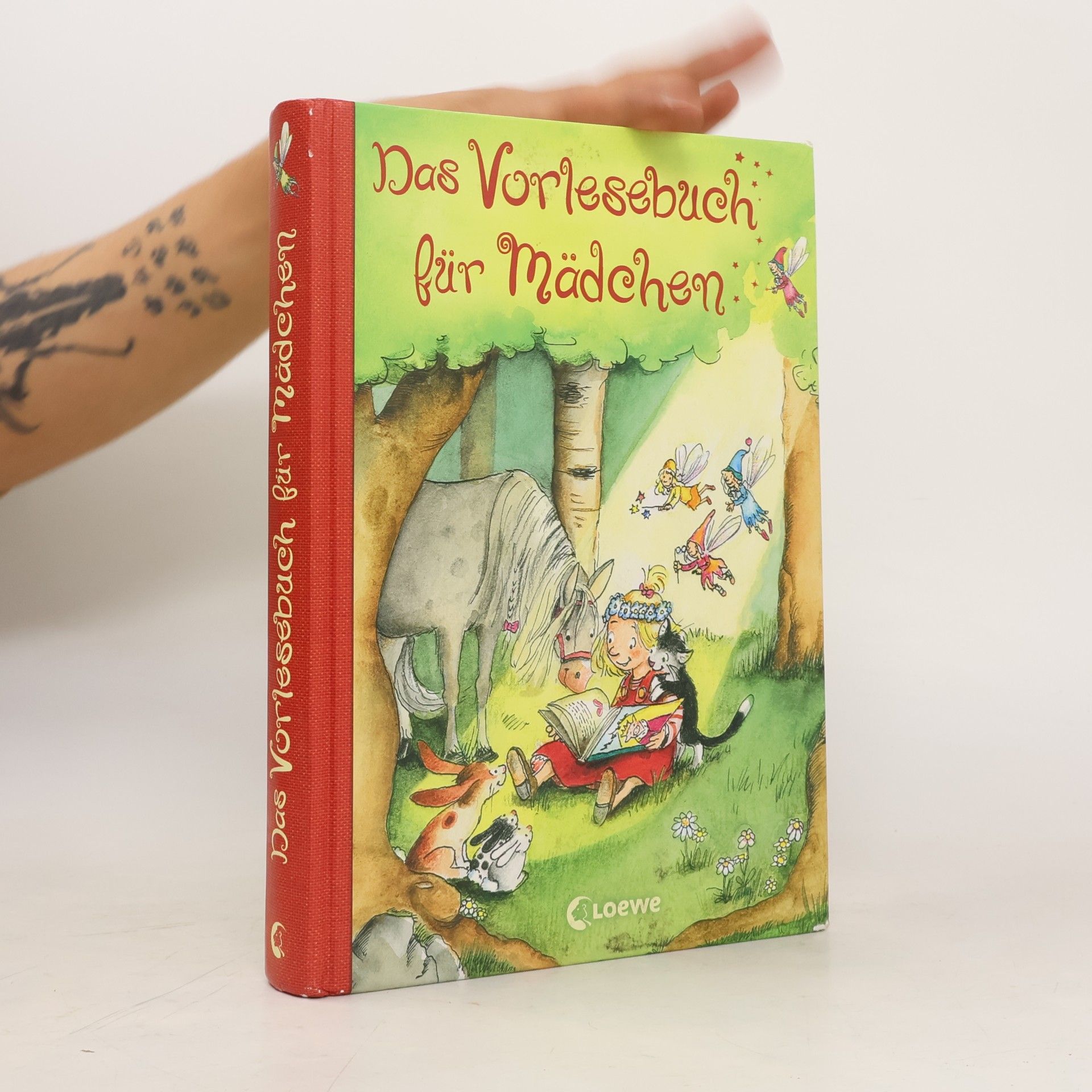 Autorenkollektiv Das Vorlesebuch für Mädchen