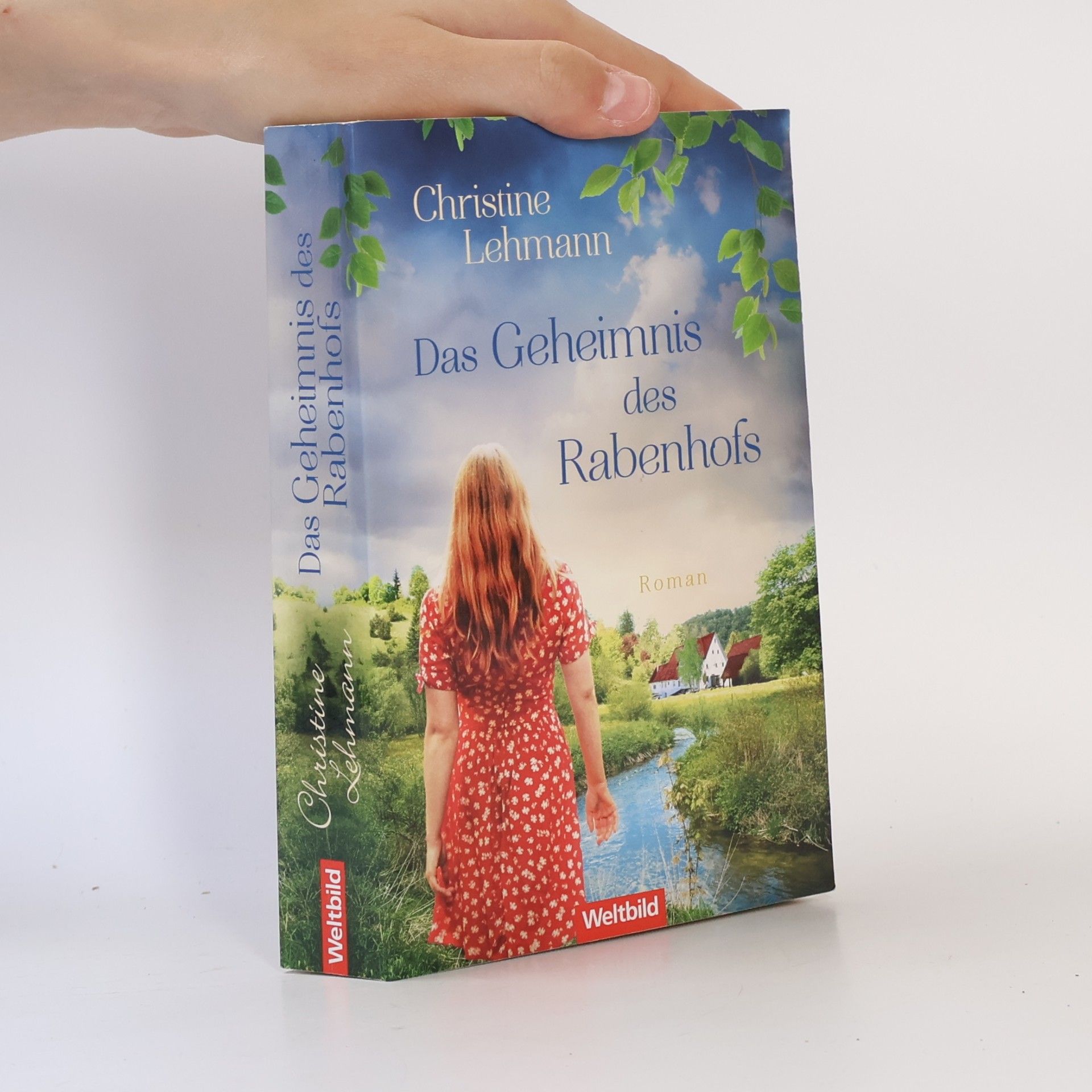 Christine Lehmann Das Geheimnis des Rabenhofs