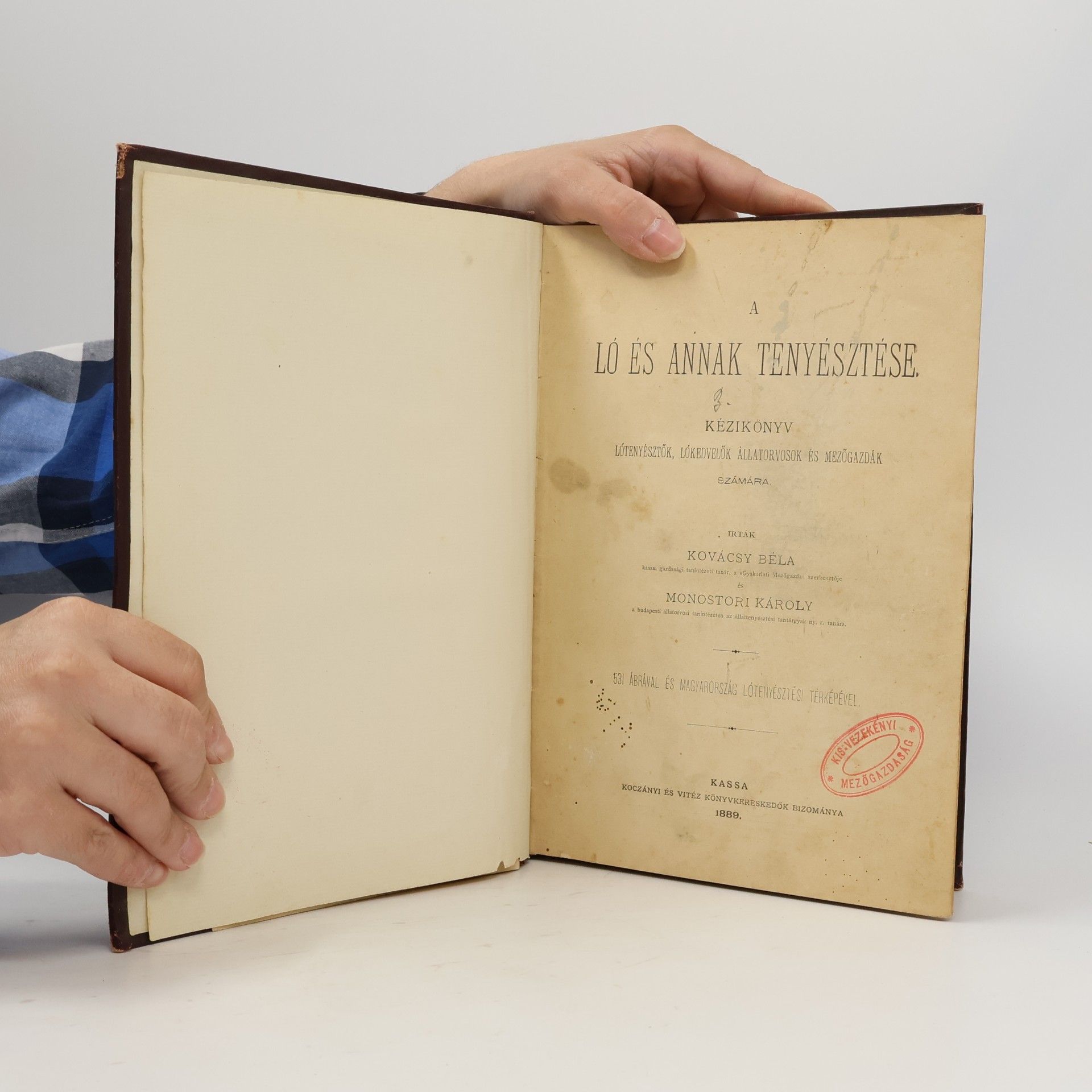 Collectif d'auteurs A ló és annak tenyésztése