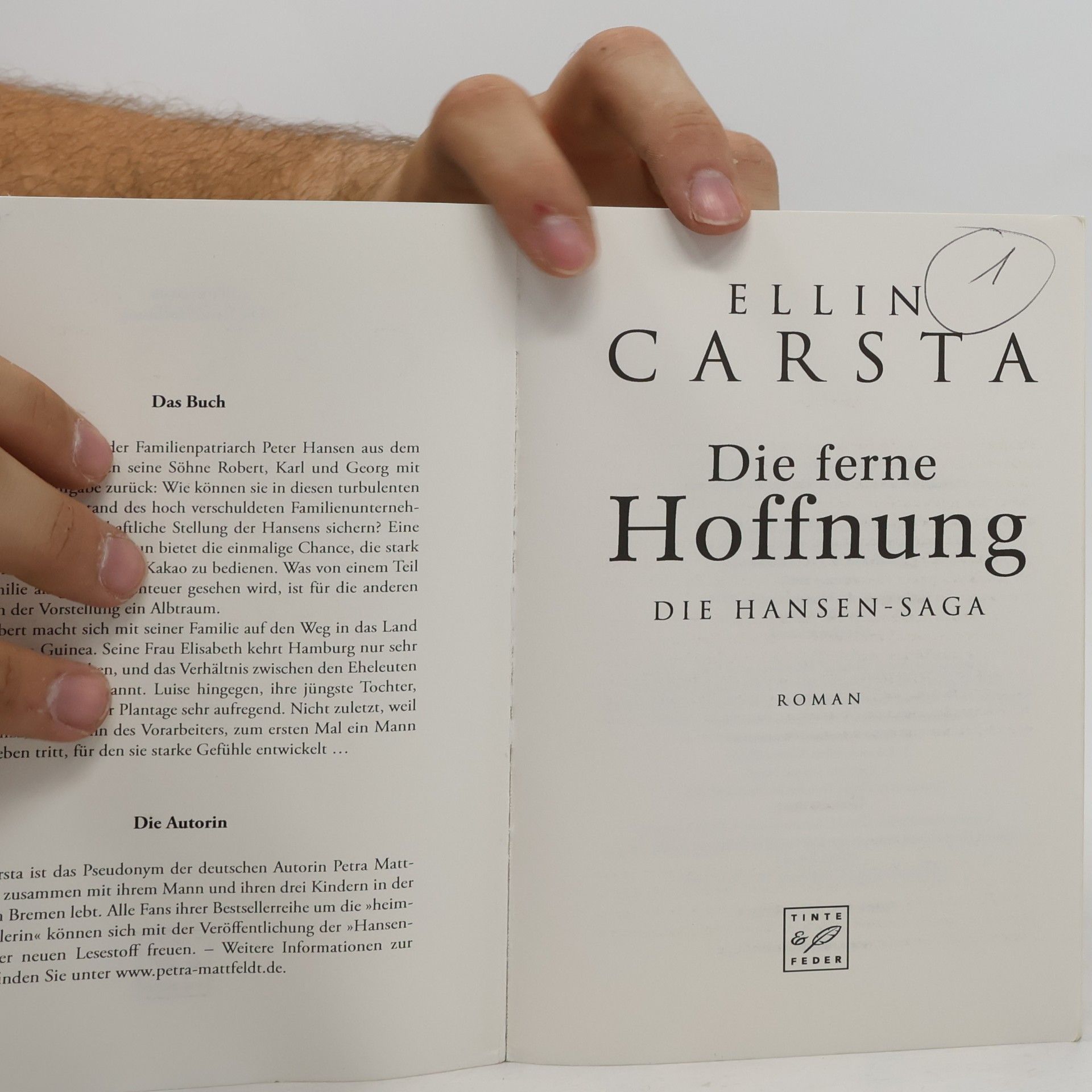 Ellin Carsta Die ferne Hoffnung