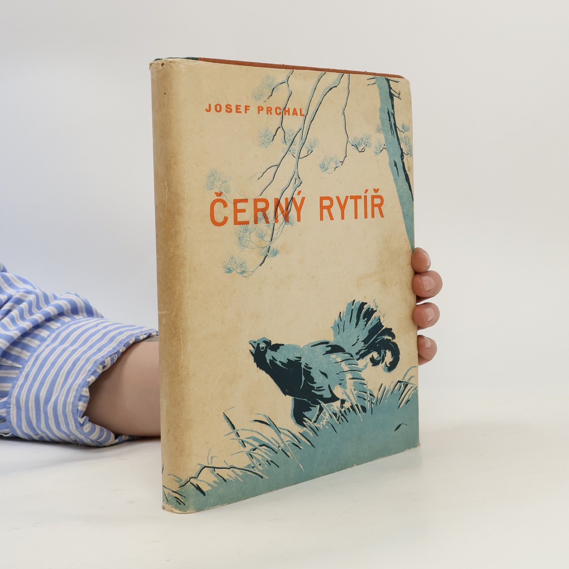 Černý rytíř