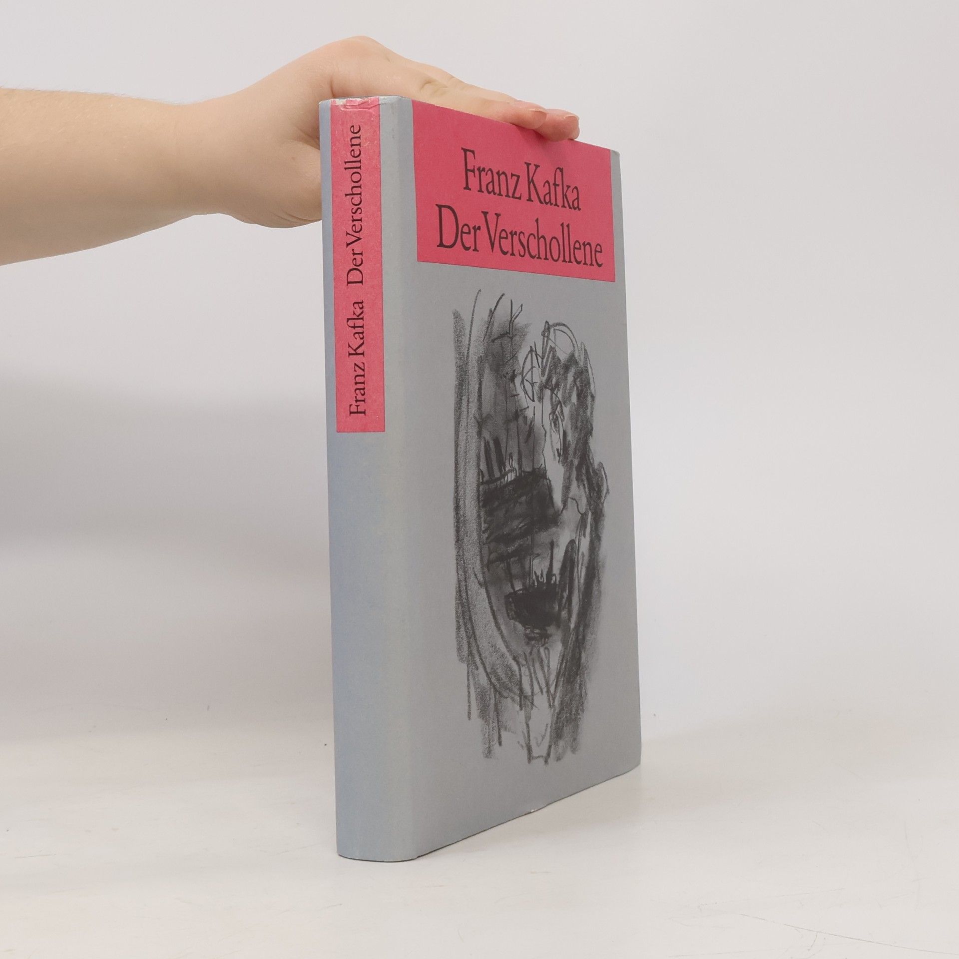 Franz Kafka Der Verschollene