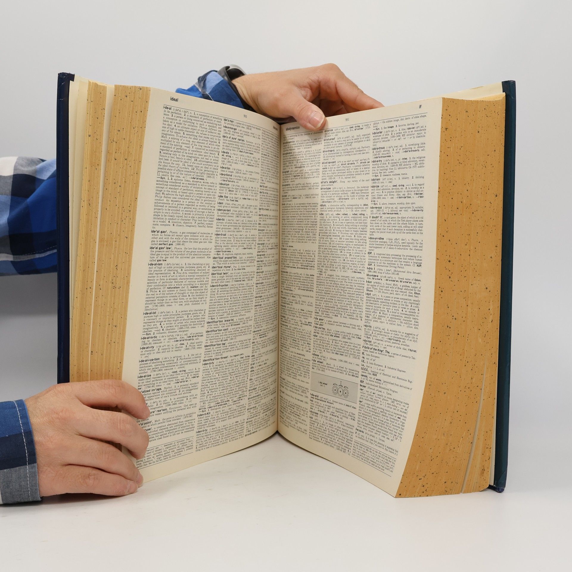 Autorenkollektiv Webster's New Universal Unabridged Dictionary