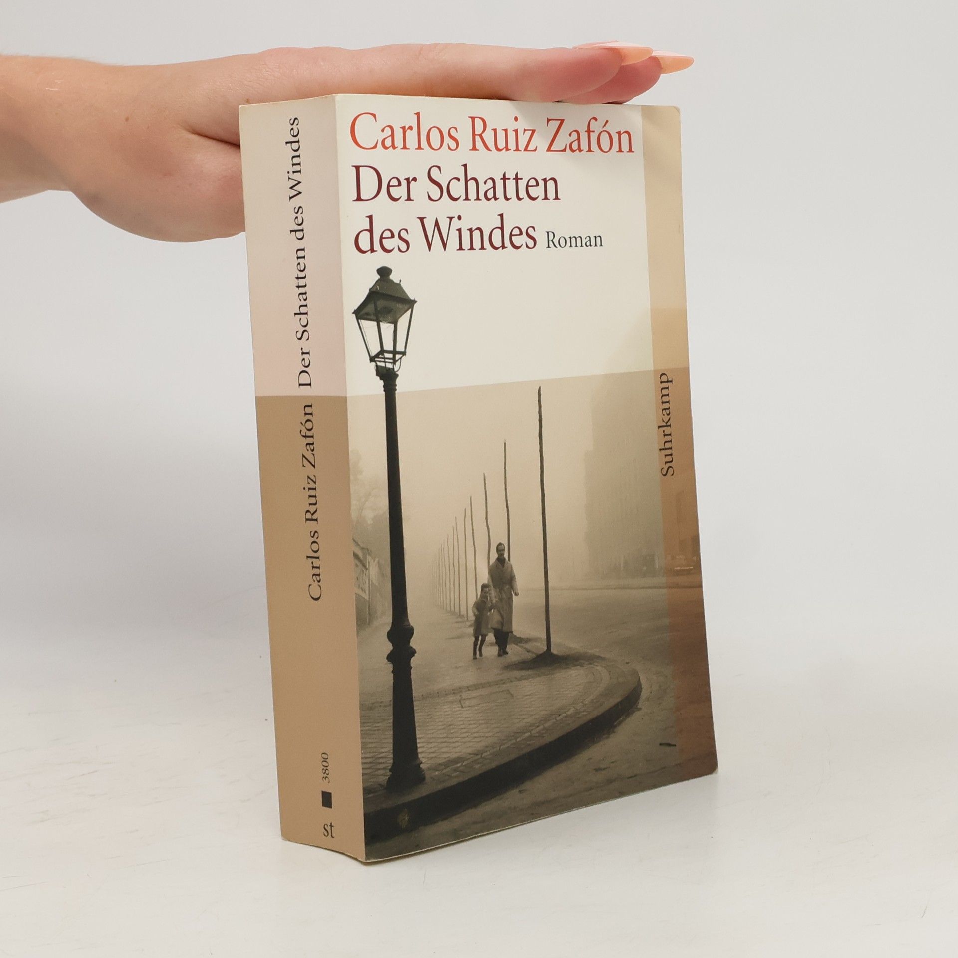 Carlos Ruiz Zafón Der Schatten des Windes