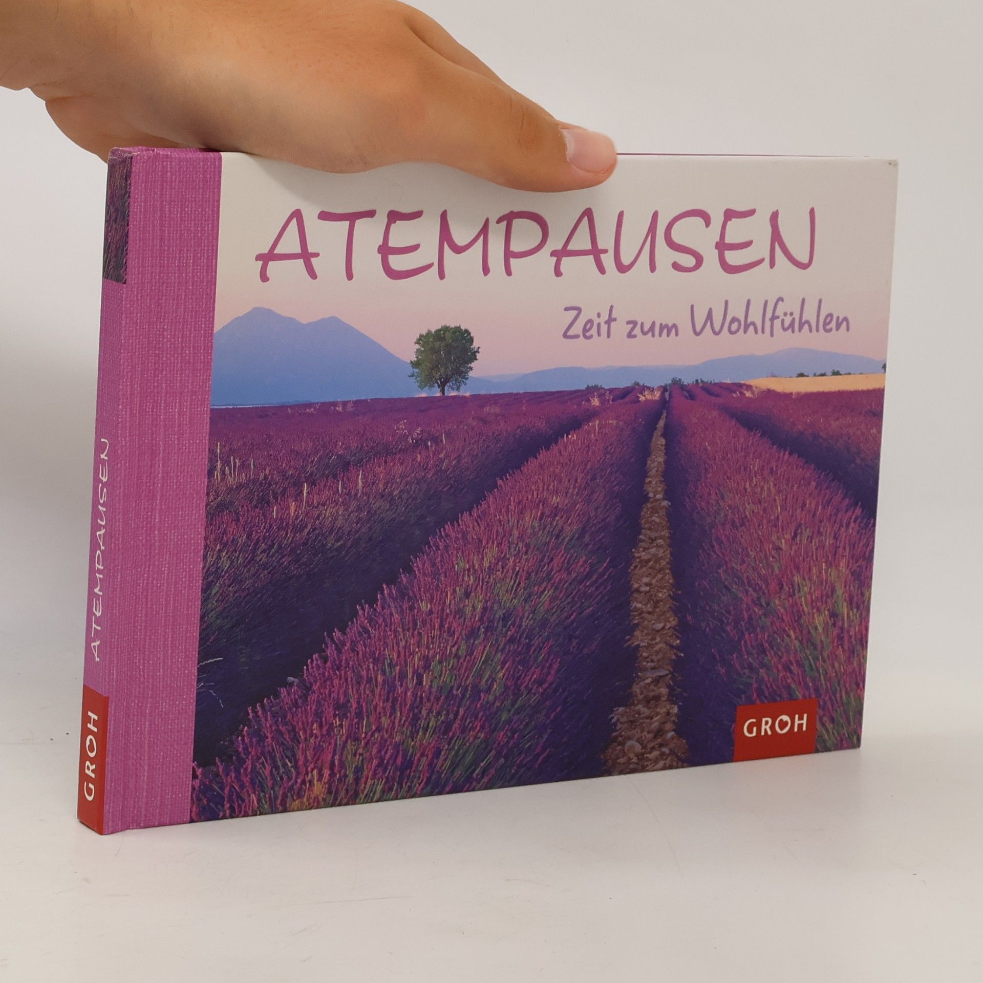 Marielle Schumann Atempausen - Zeit zum Wohlfühlen