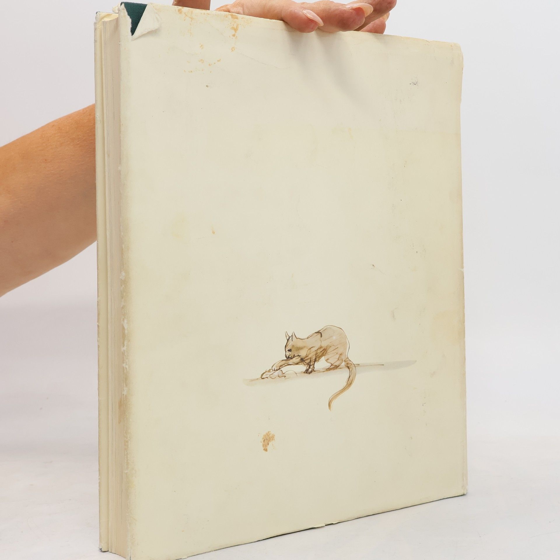 Tomi Ungerer Das große Liederbuch