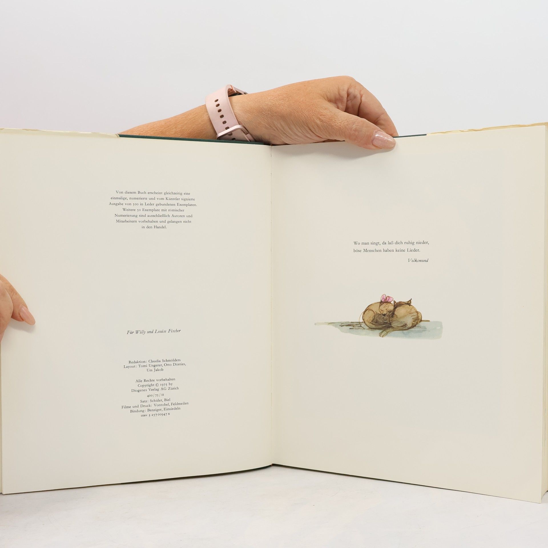 Tomi Ungerer Das große Liederbuch