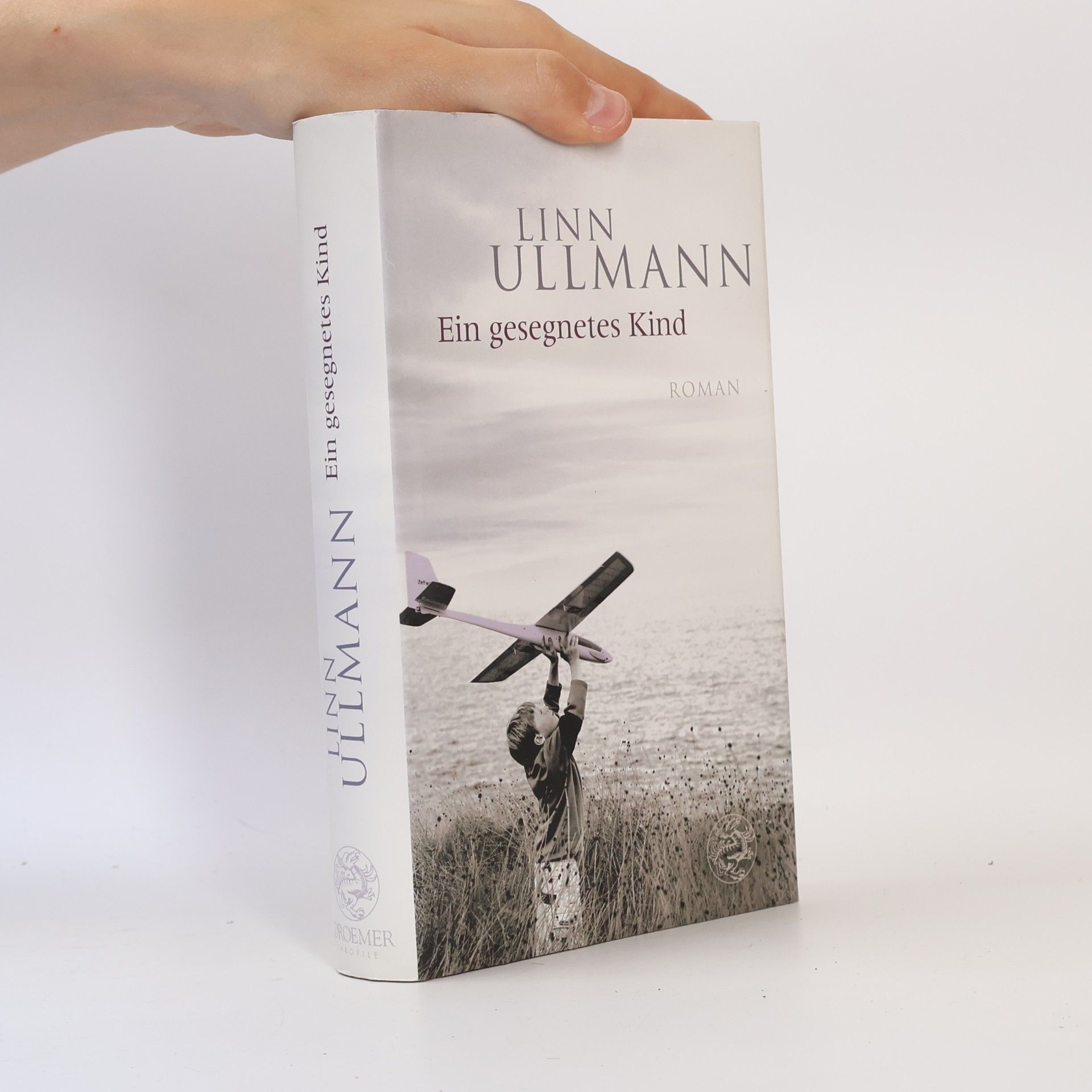 Linn Ullmann Ein gesegnetes Kind