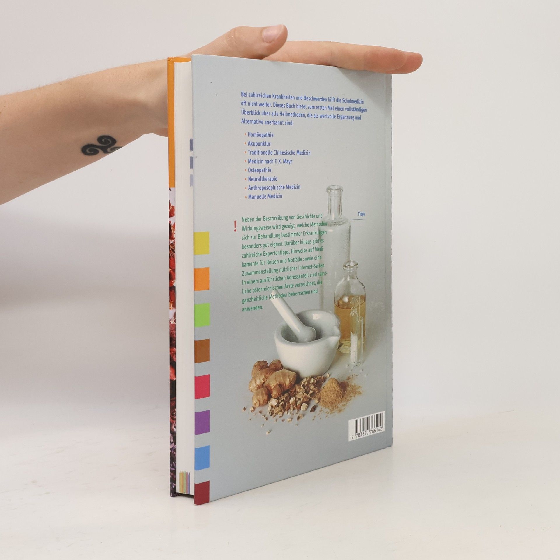 Britta Blumencron Handbuch der sanften Medizin