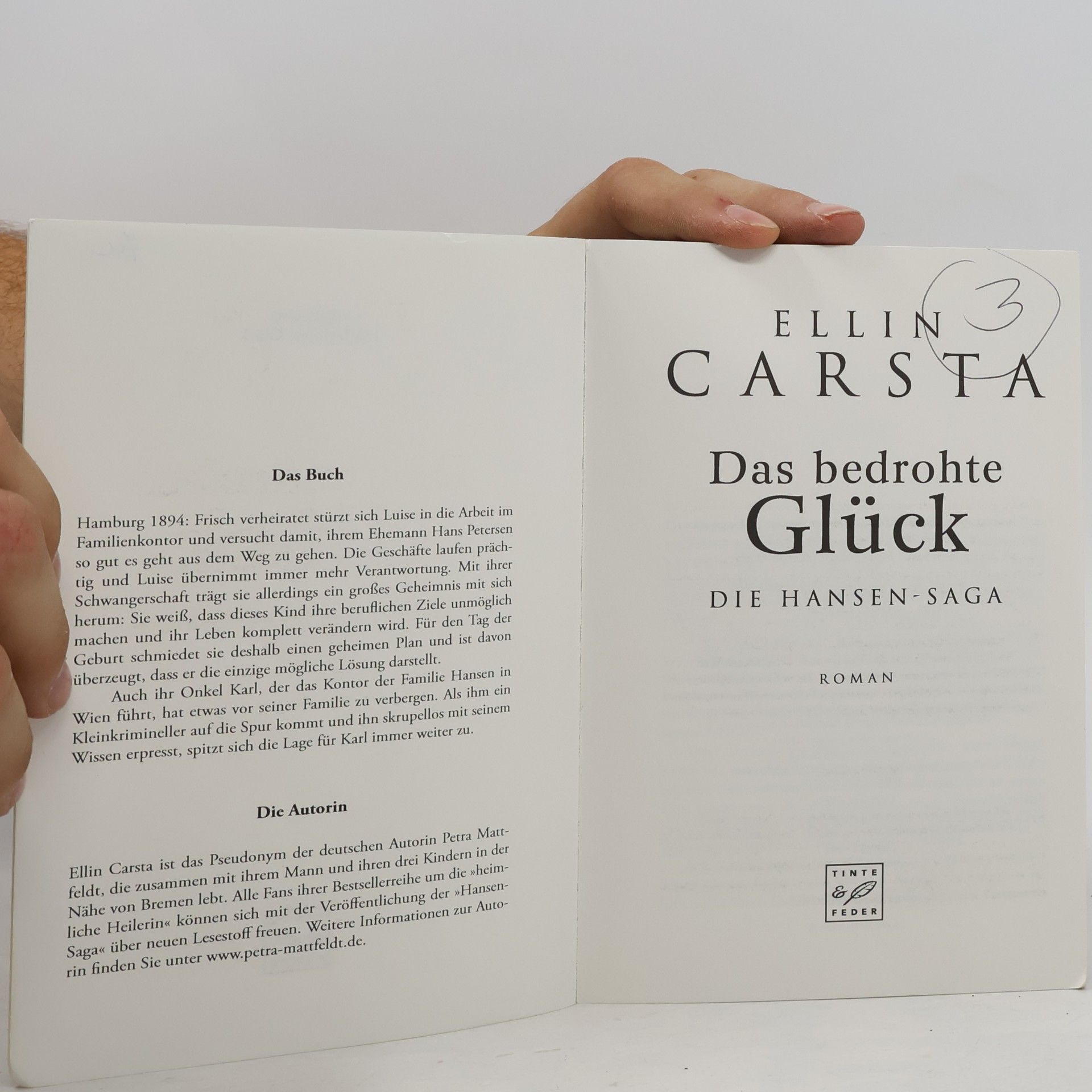 Ellin Carsta Das bedrohte Glück