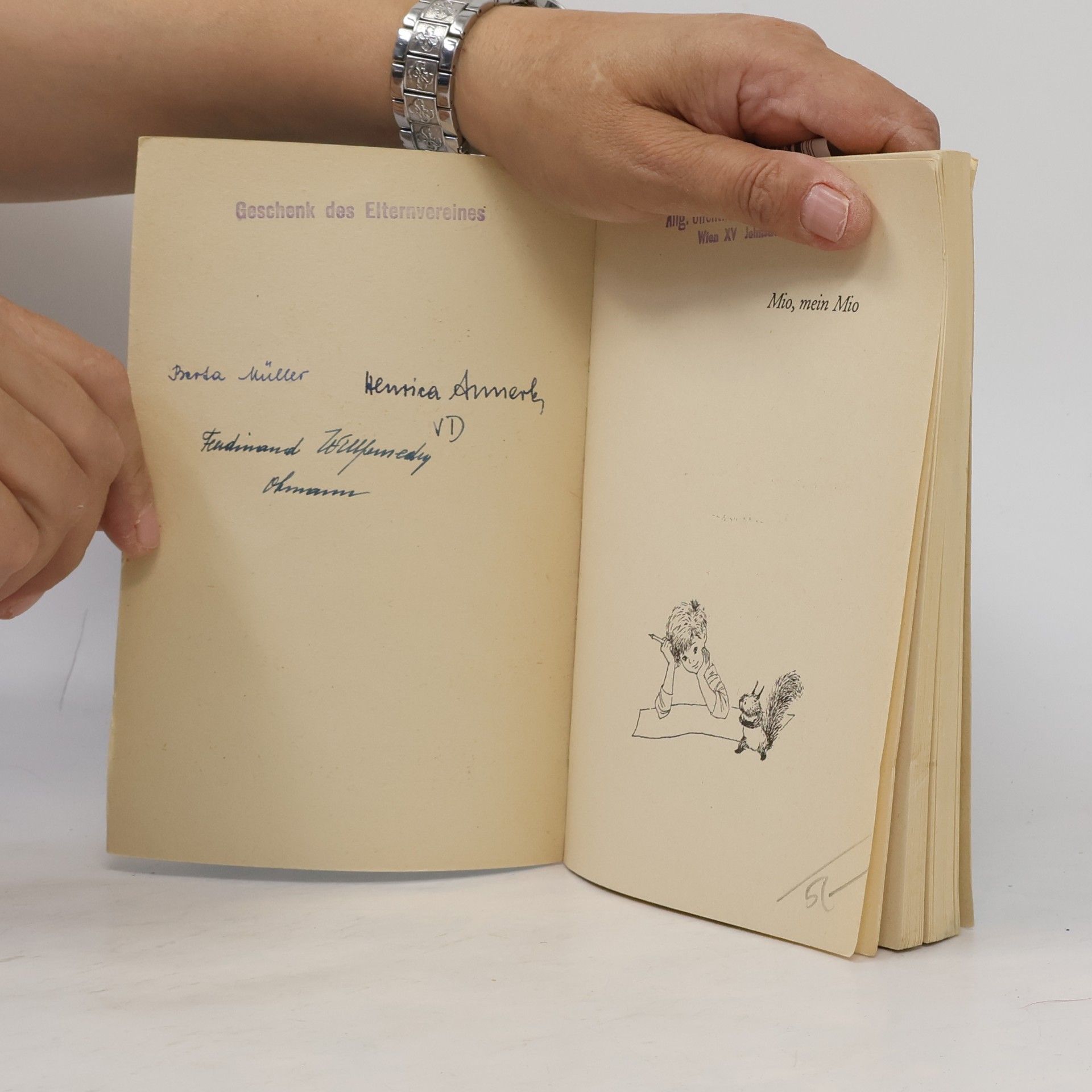 Astrid Lindgren Mio, mein Mio