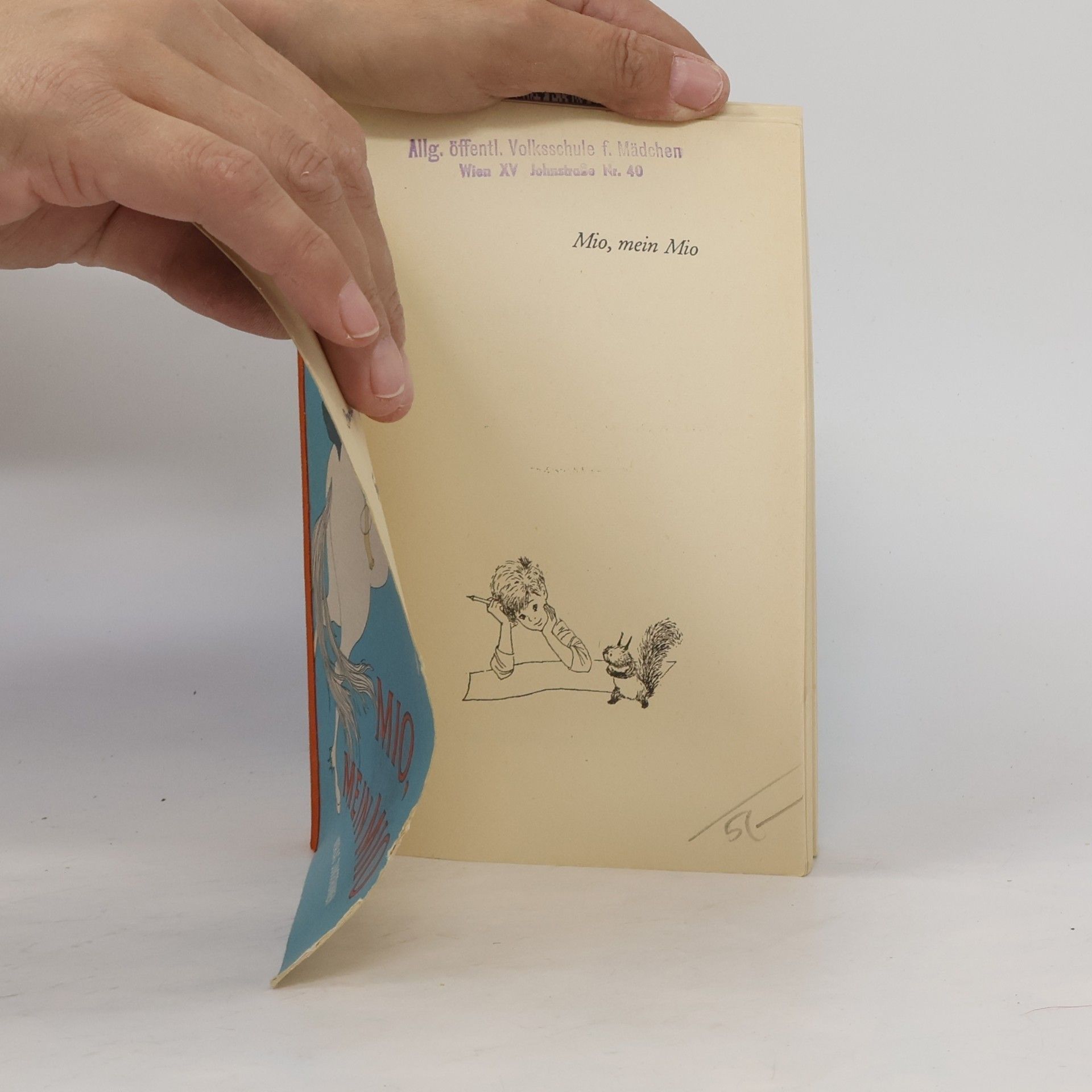 Astrid Lindgren Mio, mein Mio