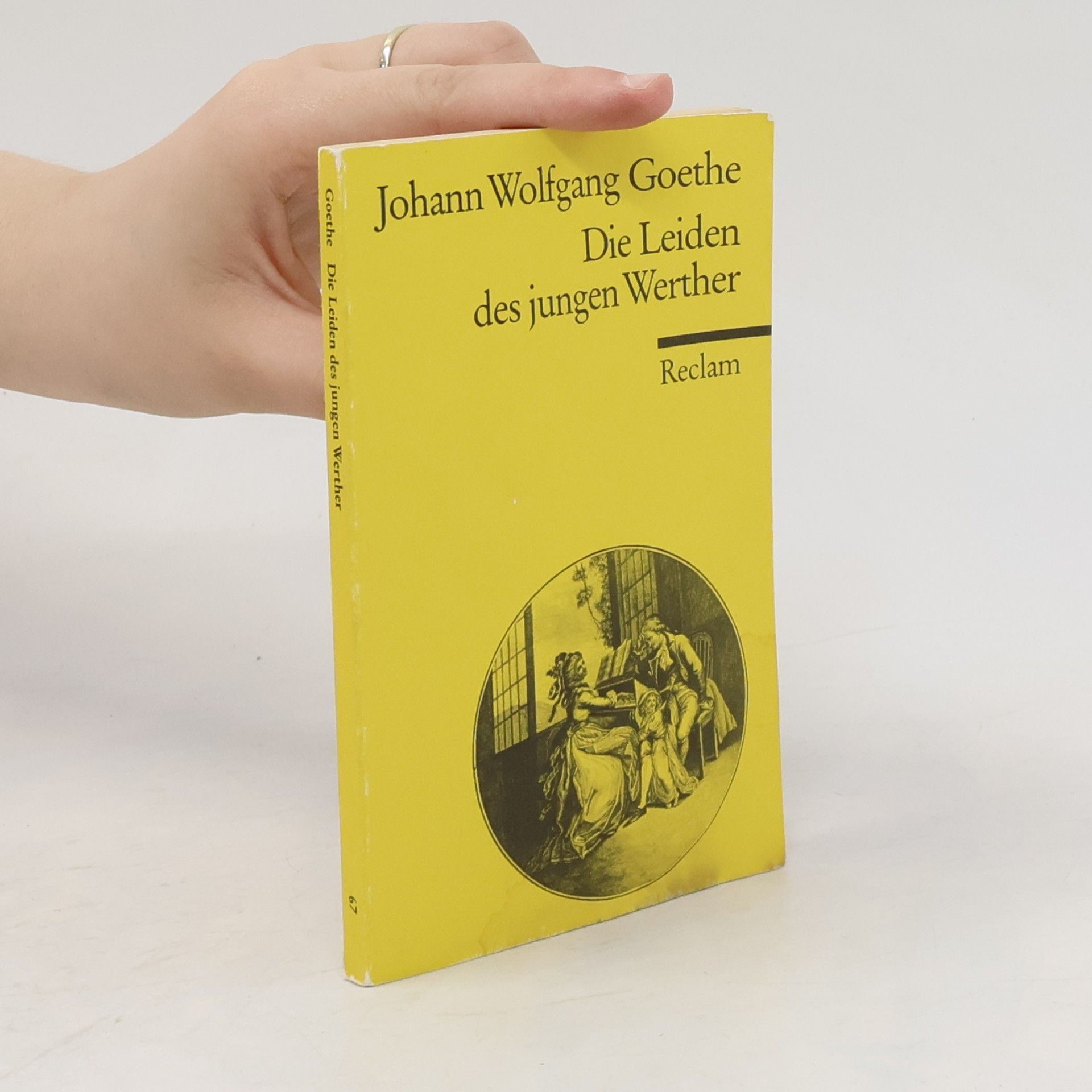 Johann Wolfgang von Goethe Die Leiden des jungen Werther