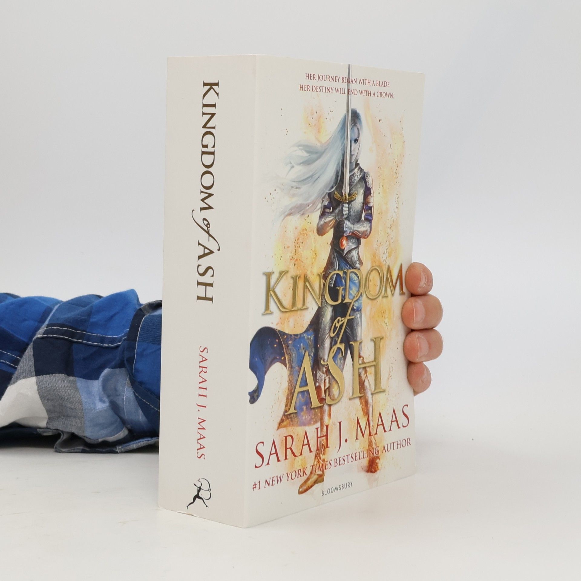 Kingdom of Ash