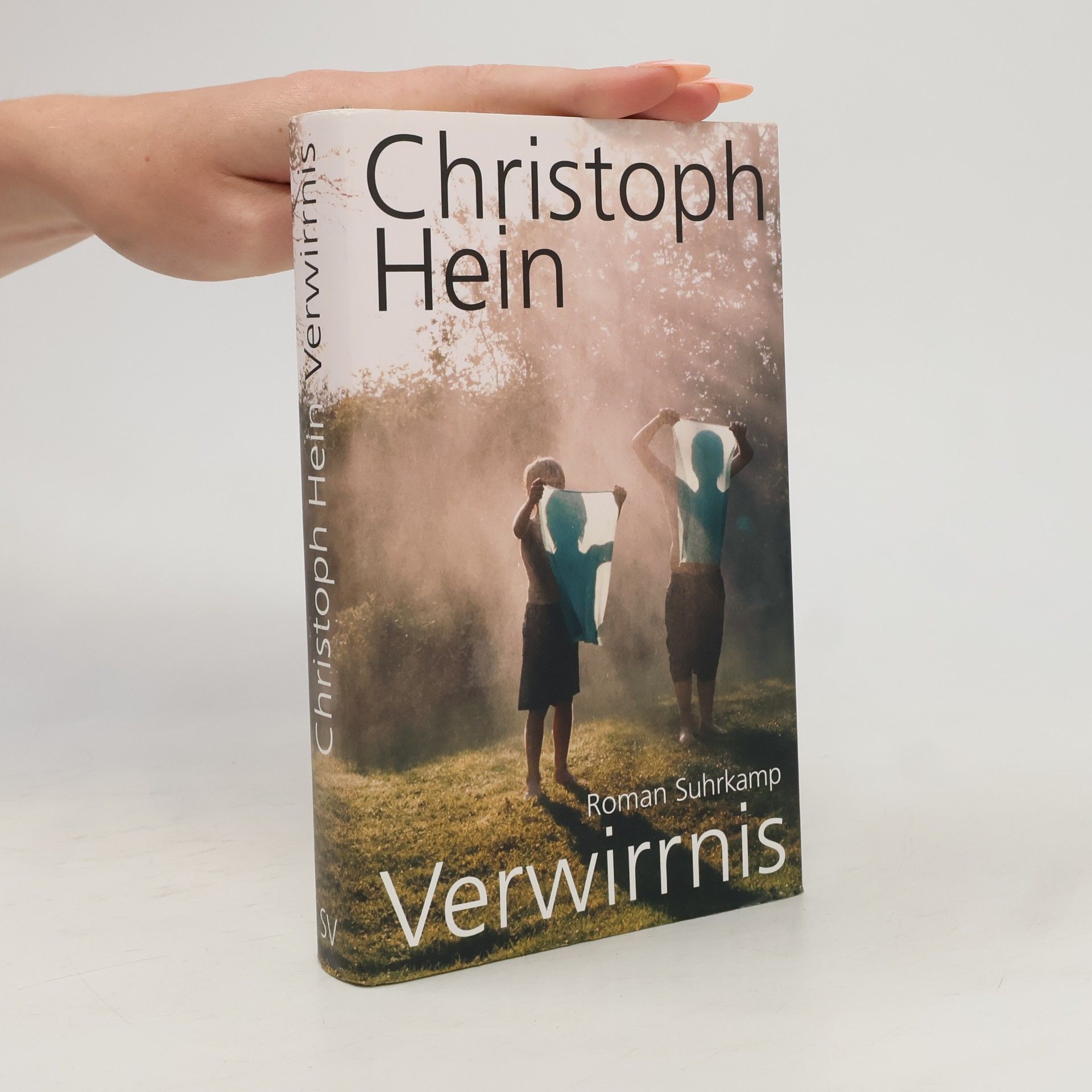 Christoph Hein Verwirrnis