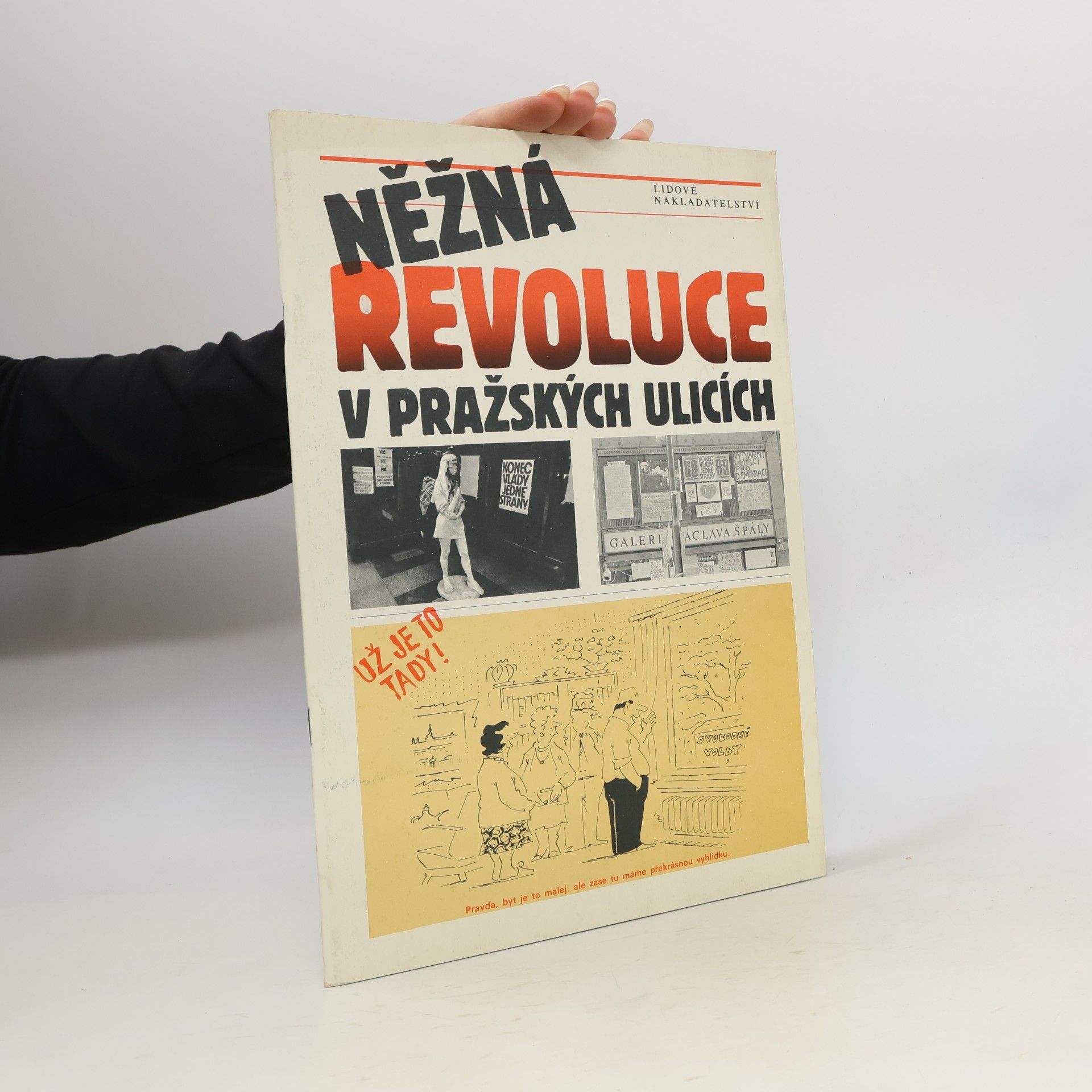 František Heřman Něžná revoluce v pražských ulicích