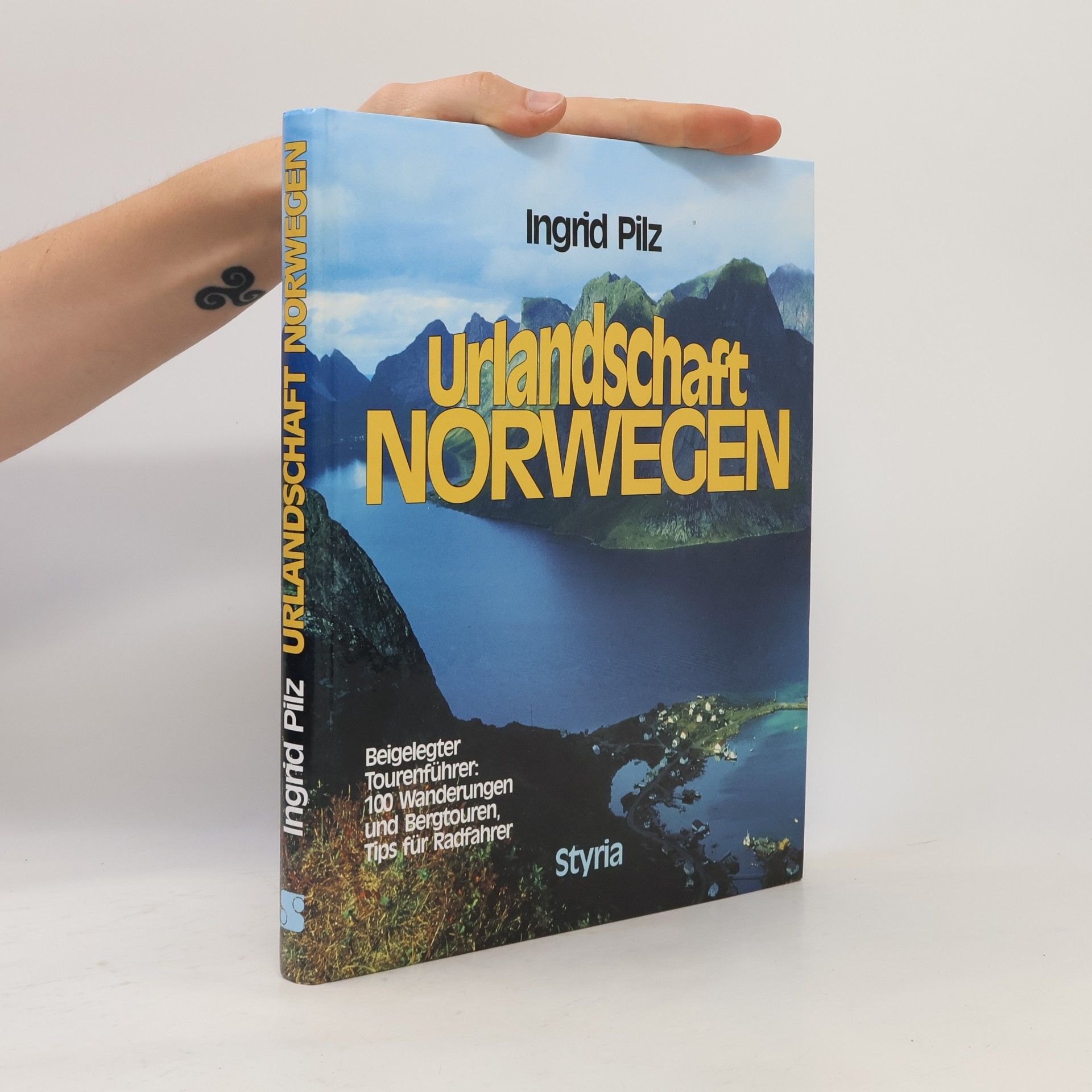 Ingrid Pilz Urlandschaft Norwegen