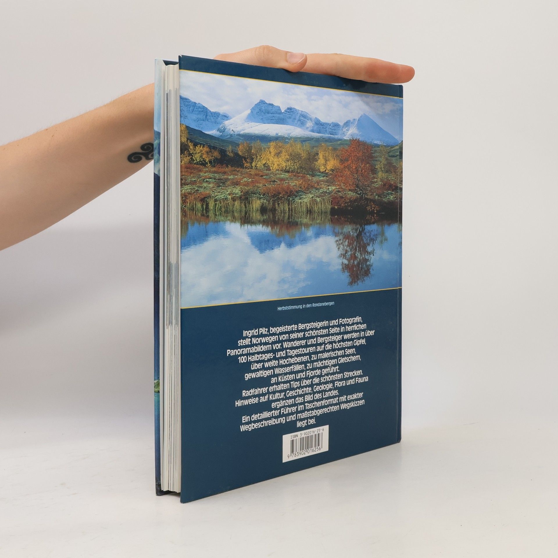 Ingrid Pilz Urlandschaft Norwegen