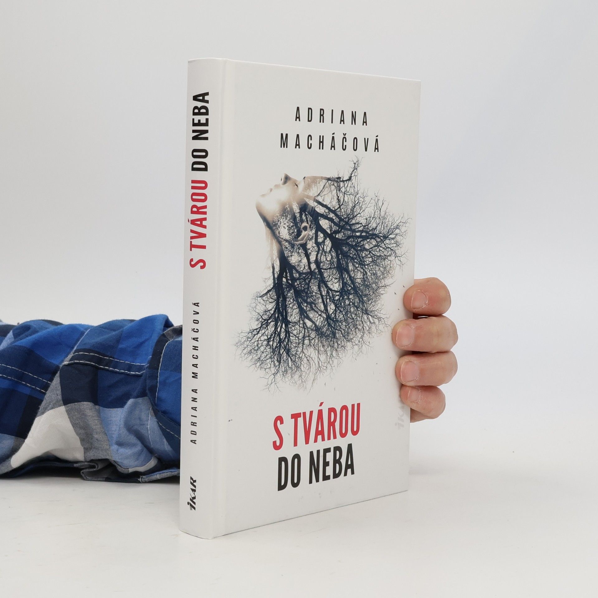 S tvárou do neba