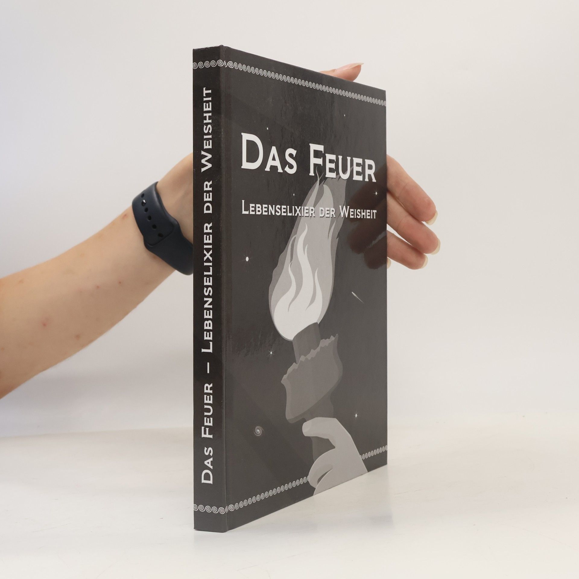 Steven Otto Das Feuer. Lebenselixier der Weisheit
