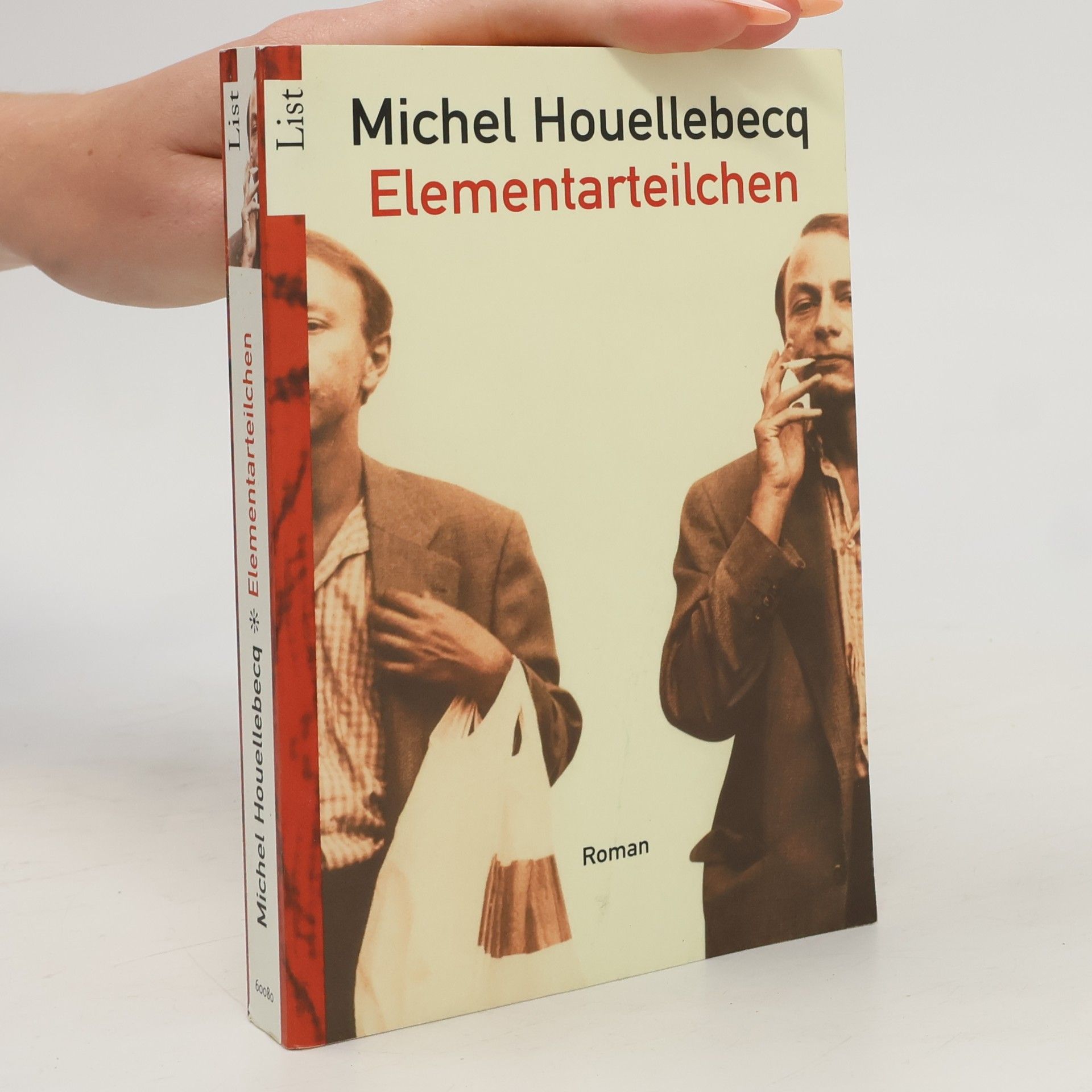 Michel Houellebecq Elementarteilchen