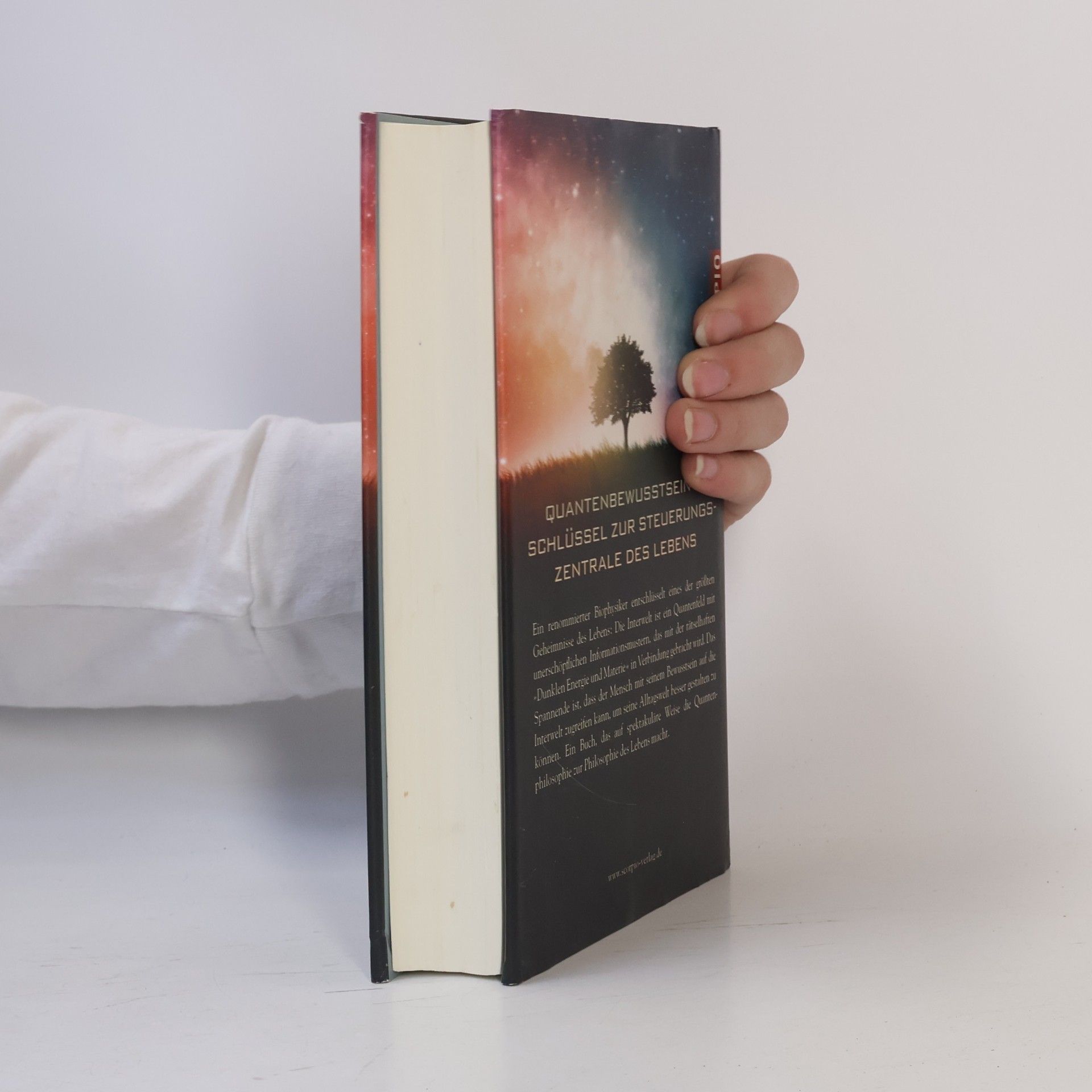 Ulrich Warnke Quantenphilosophie und Interwelt