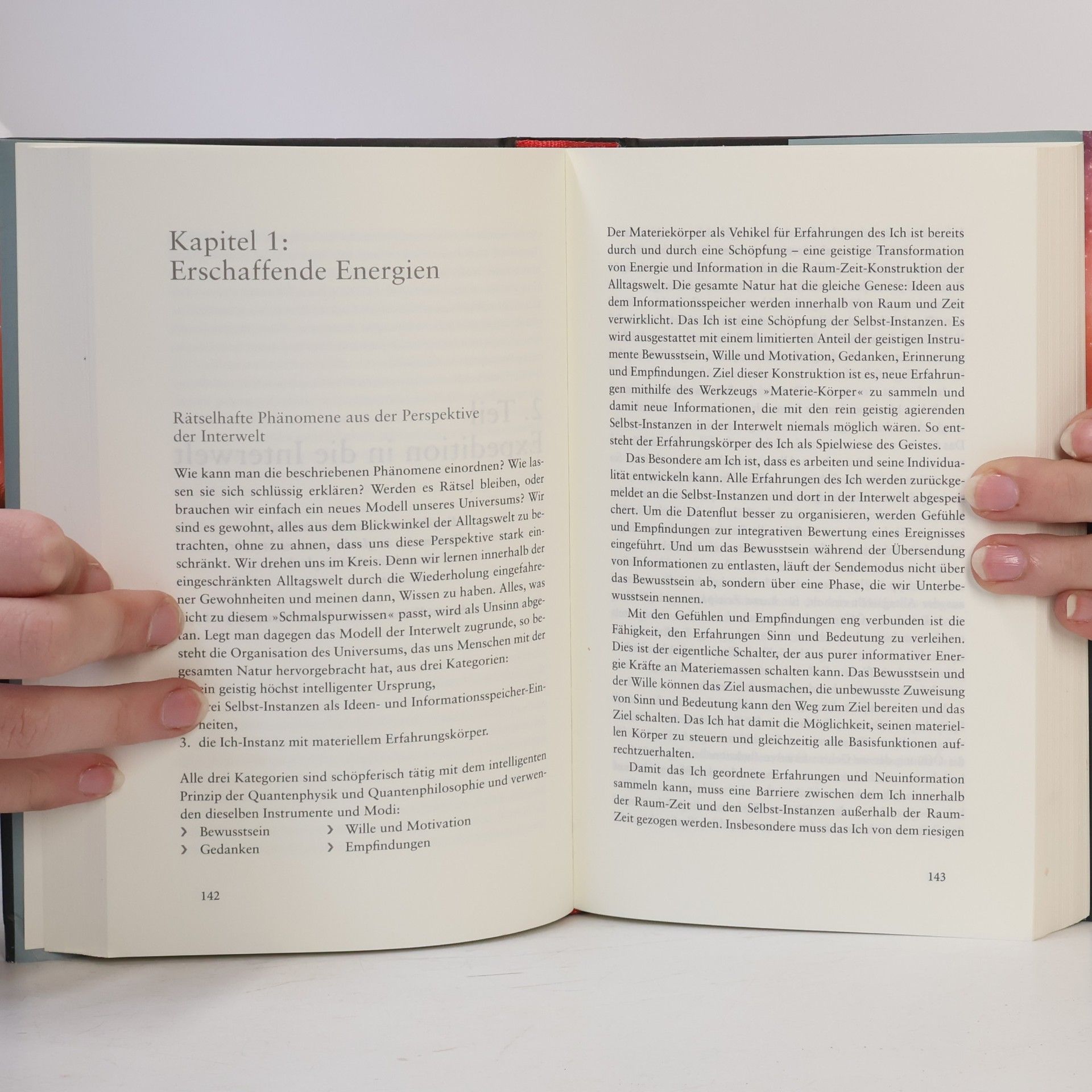Ulrich Warnke Quantenphilosophie und Interwelt