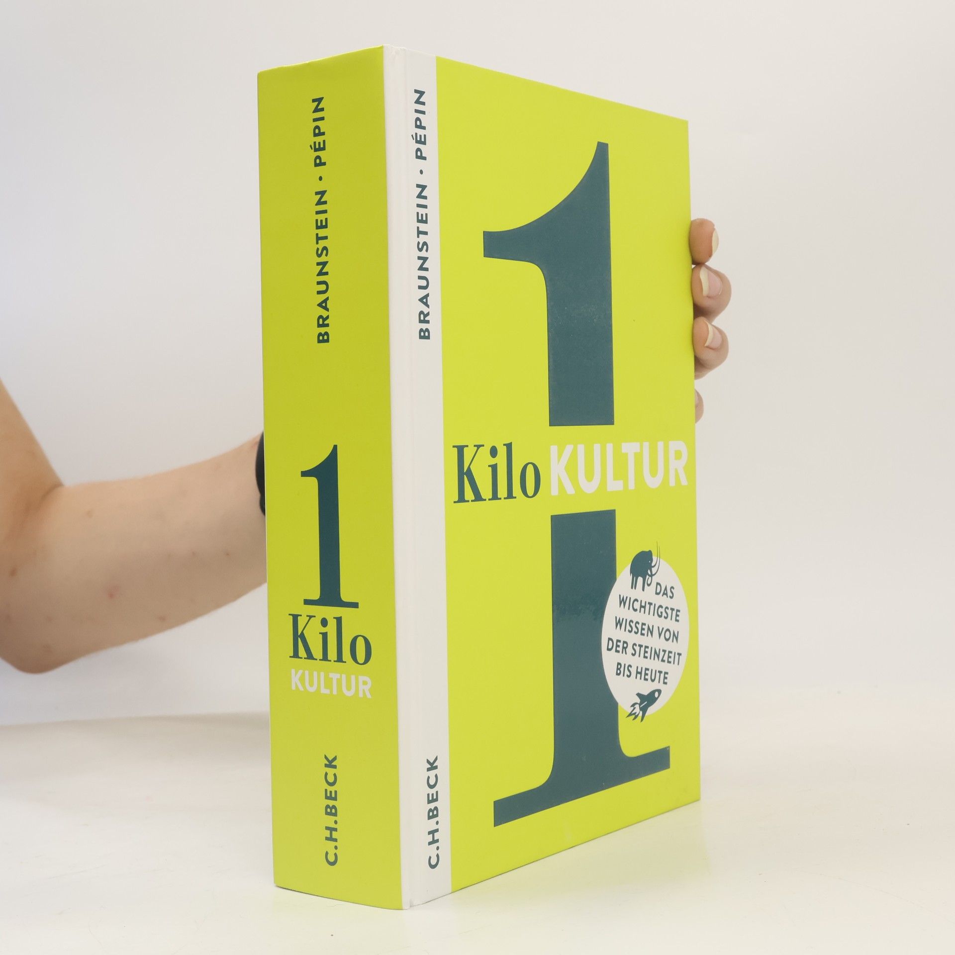 Autorenkollektiv 1 Kilo Kultur : das wichtigste Wissen von der Steinzeit bis heute