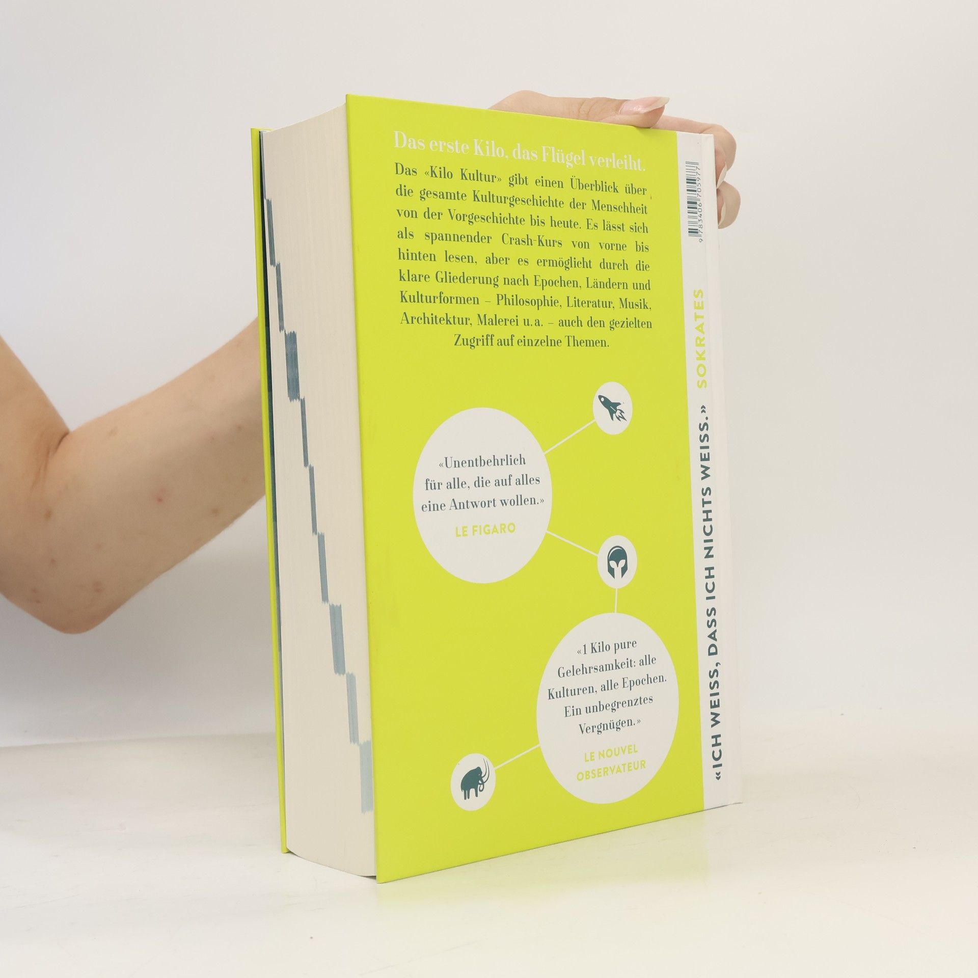 Autorenkollektiv 1 Kilo Kultur : das wichtigste Wissen von der Steinzeit bis heute