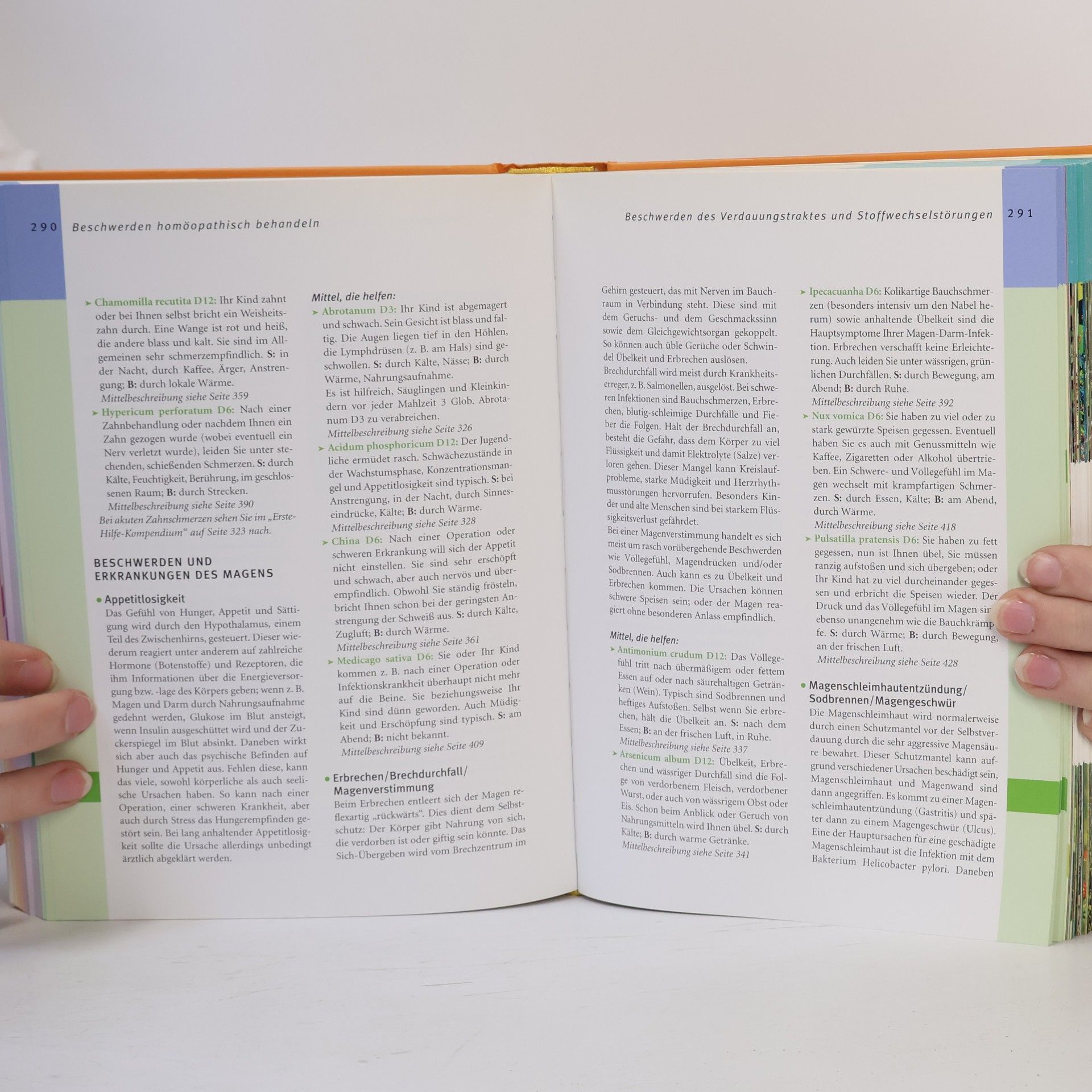 Markus Wiesenauer Das große Homöpathie-Handbuch