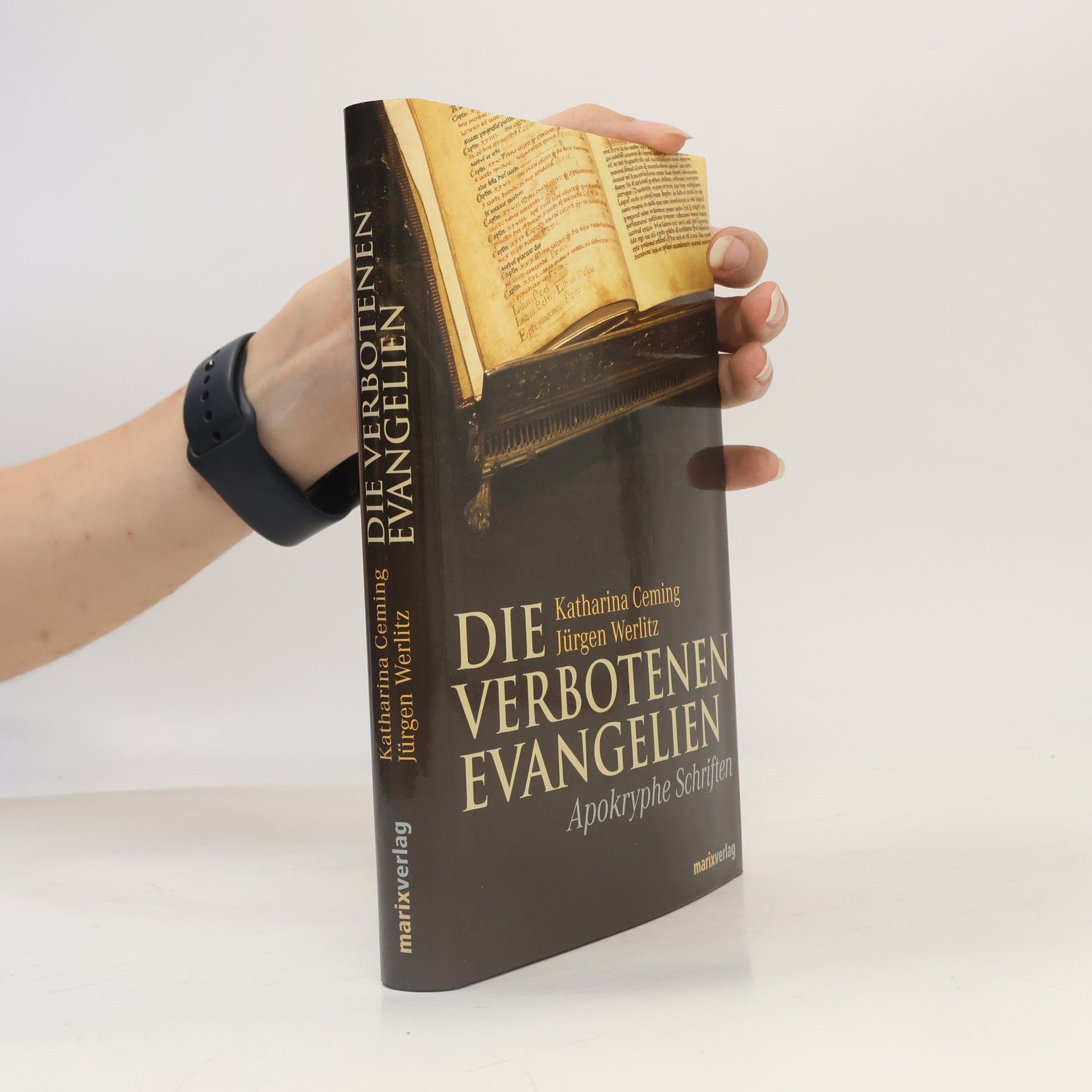 Jürgen Werlitz Die verbotenen Evangelien