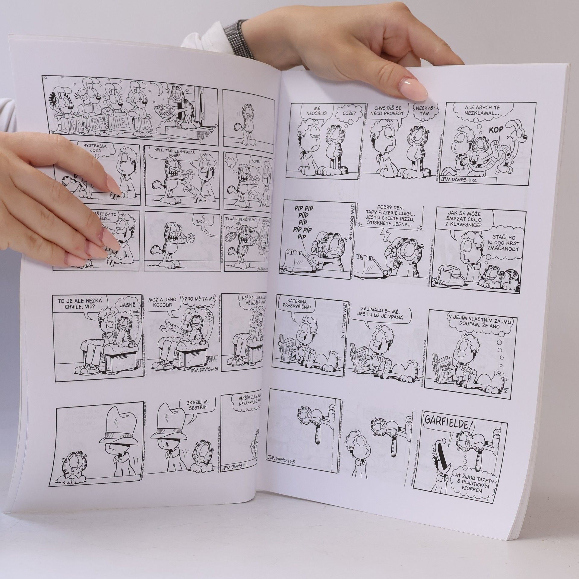 Jim Davis Garfield zaslouží přídavek