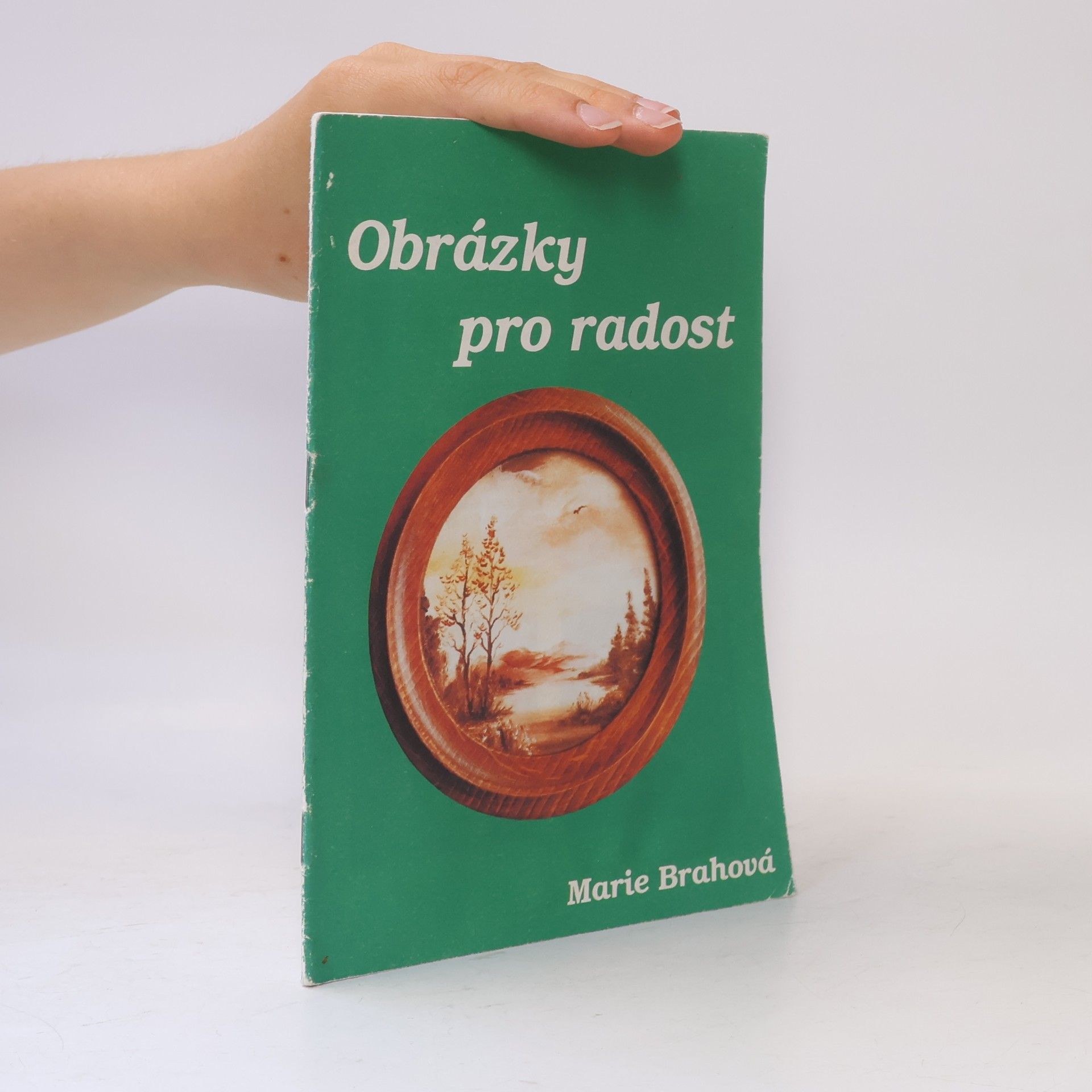 Brahová Marie Obrázky pro radost