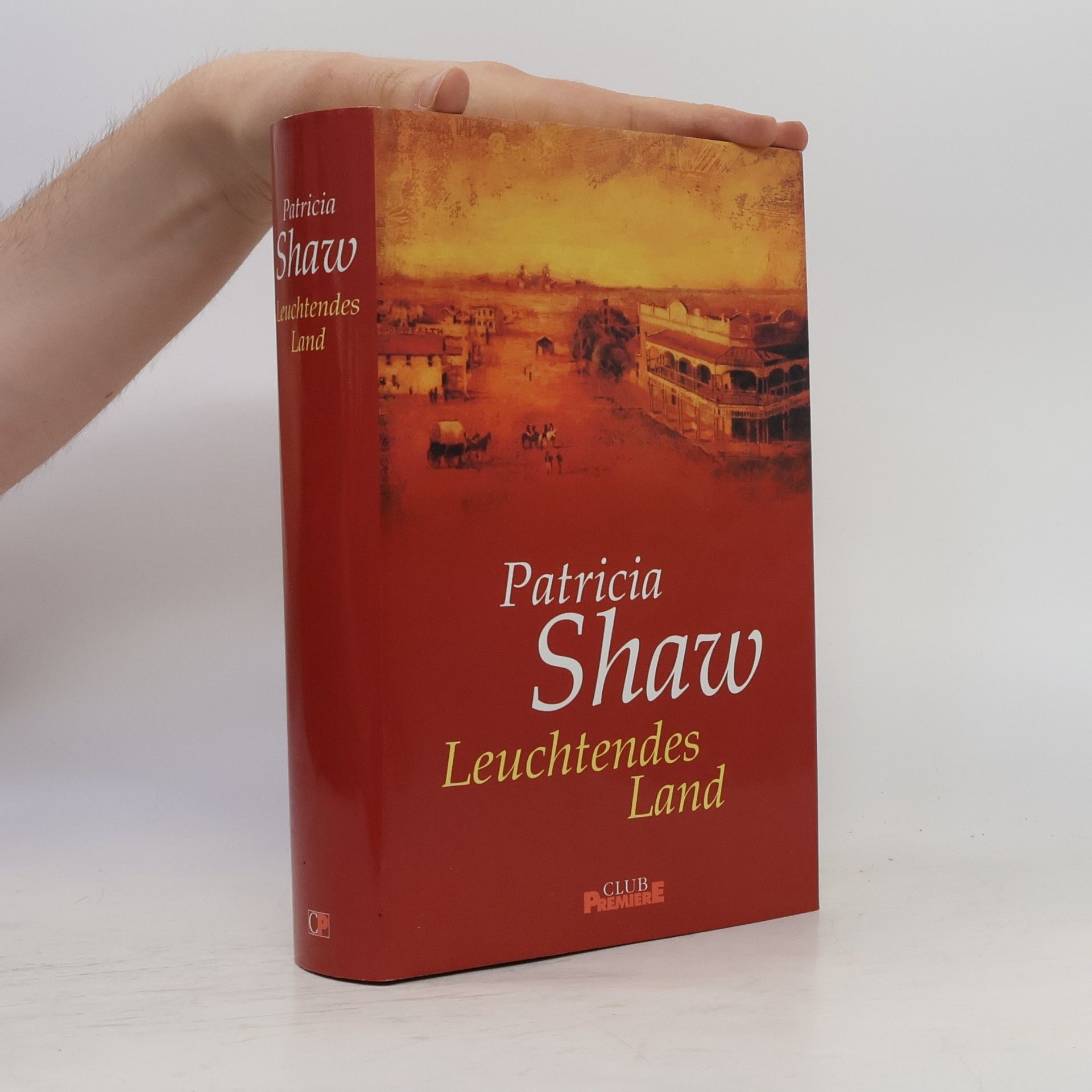 Patricia Shaw Leuchtendes Land