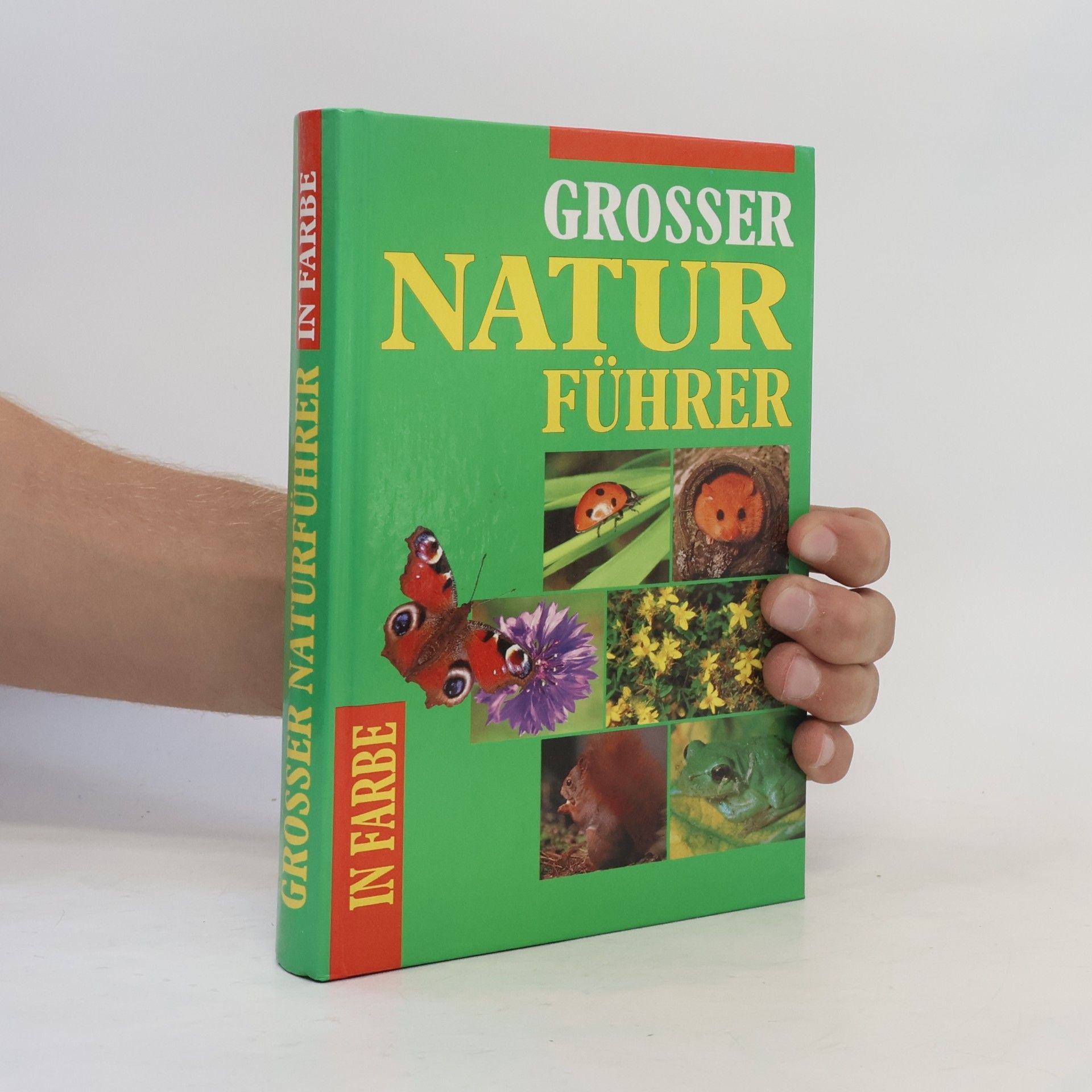 Autorenkollektiv Grosser Naturführer