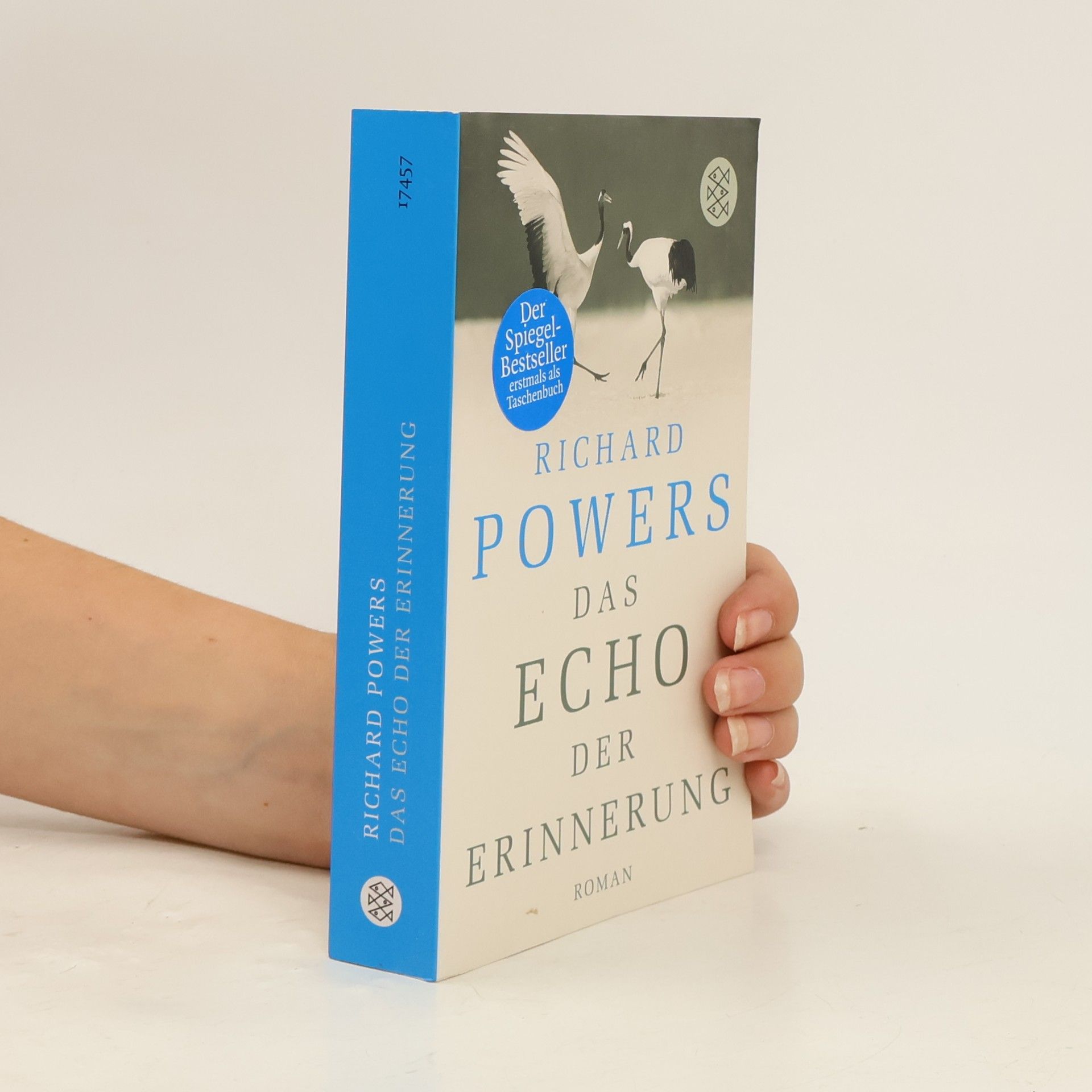 Richard Powers Das Echo der Erinnerung