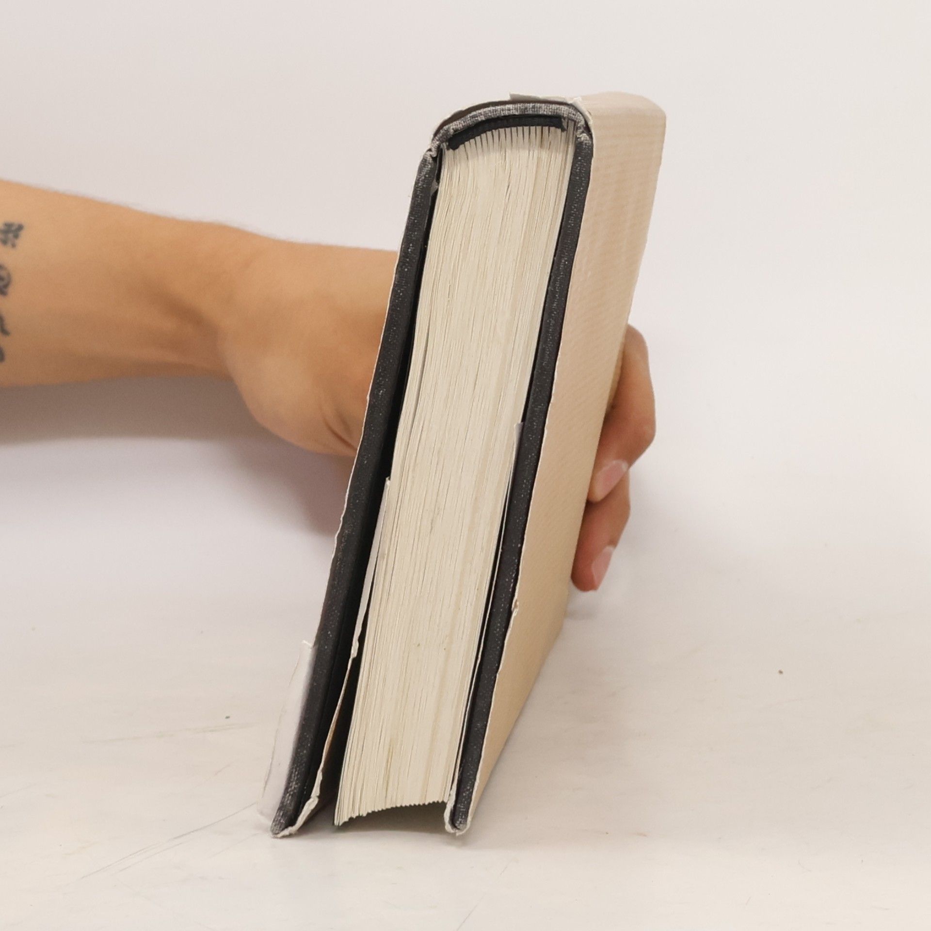 Milan Kundera Nesmrtelnost